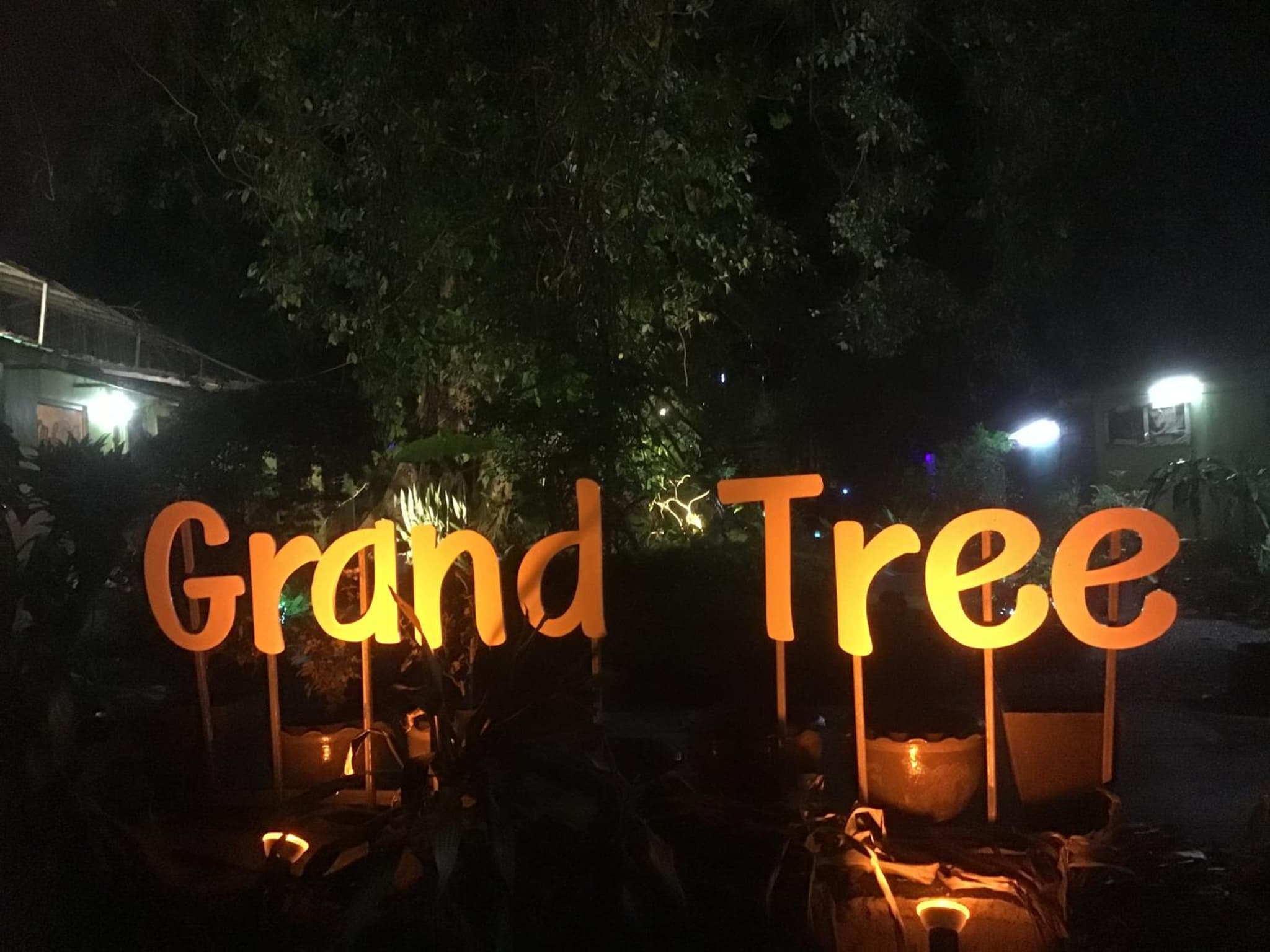 Grand Tree Bungalows photo 5