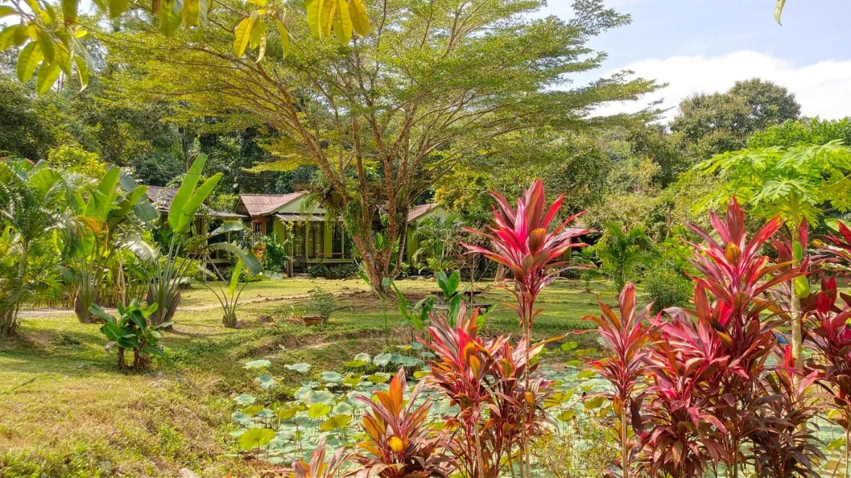 Baan Bua Cottage photo 8