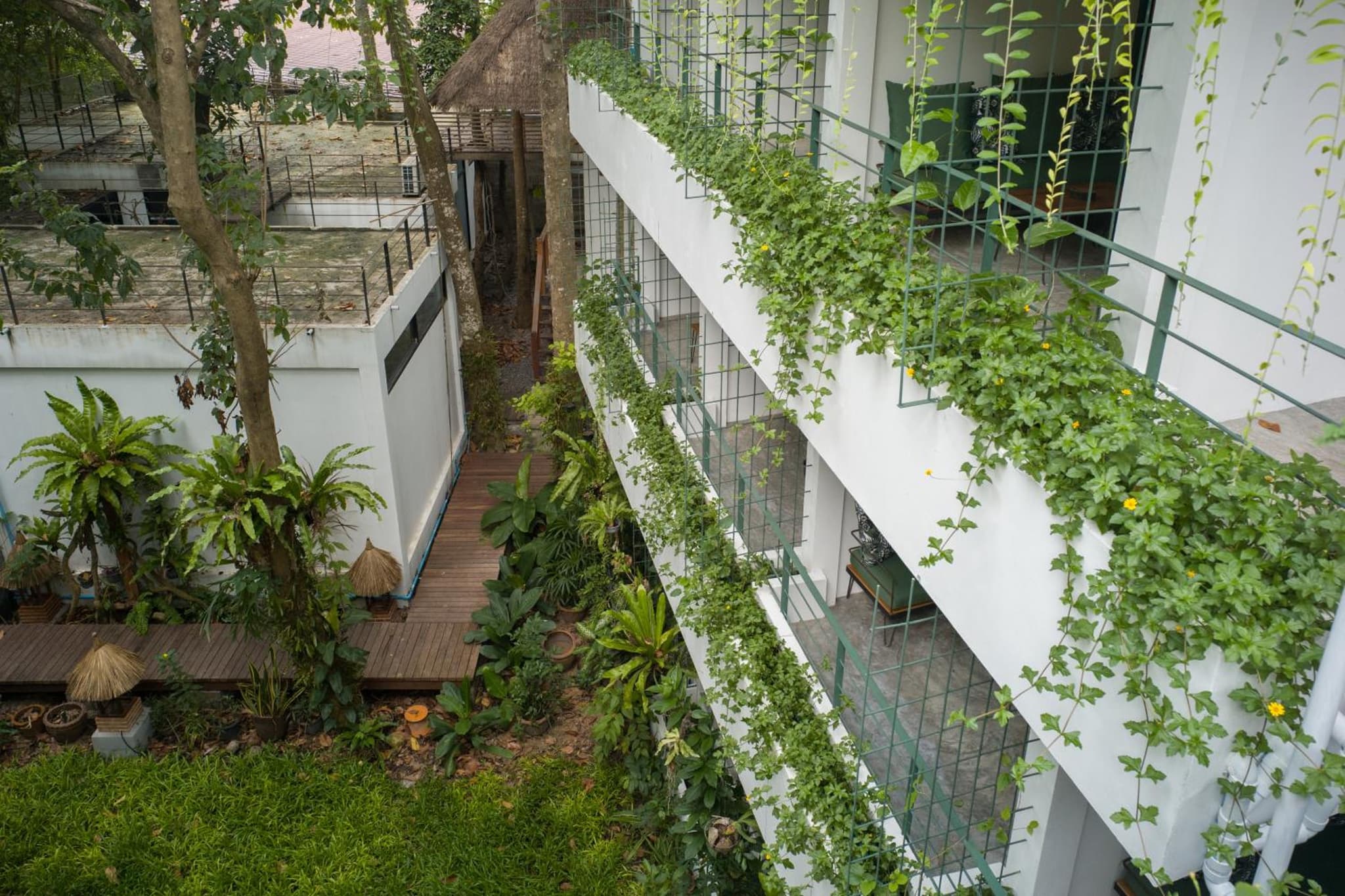 Big Tree Boutique Hotel