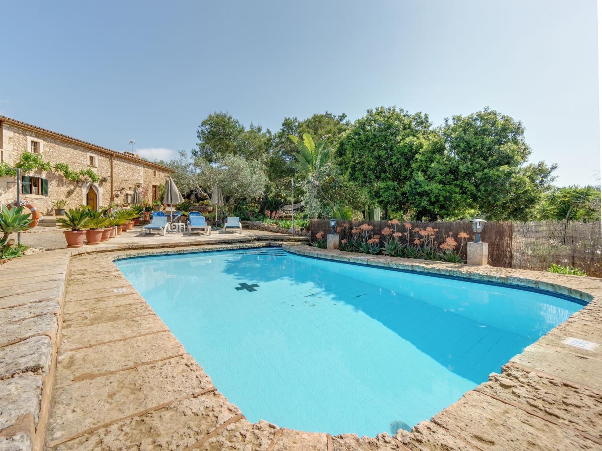 Finca Sa Punta