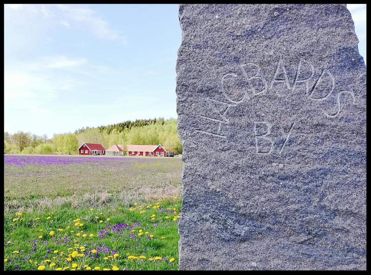 Vindängs Gård Hagbards By photo 9