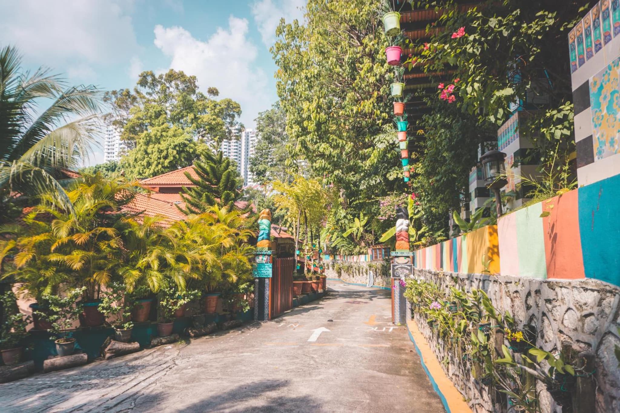 Lost Paradise Resort photo 4