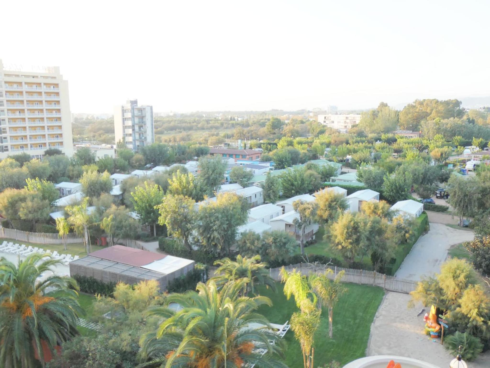 Elimar photo 5