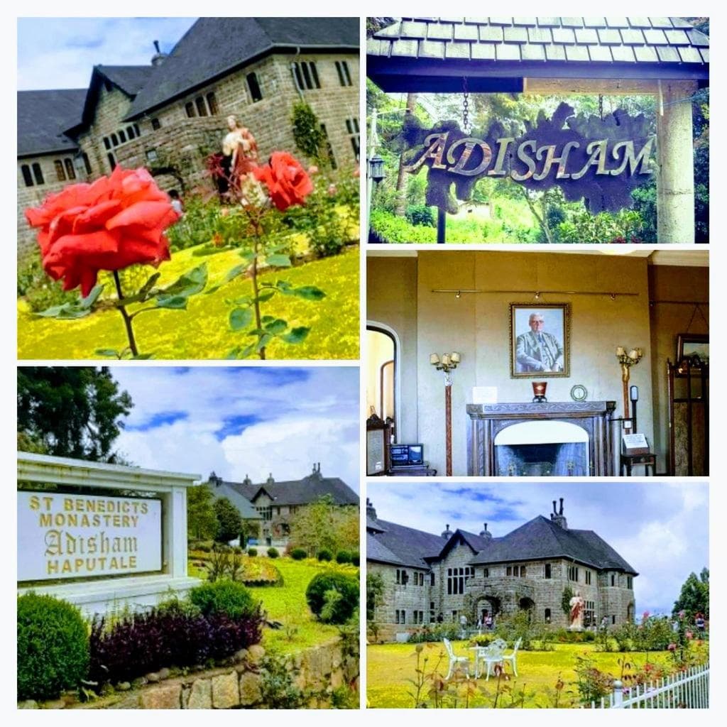 Saddle Cottage photo 4