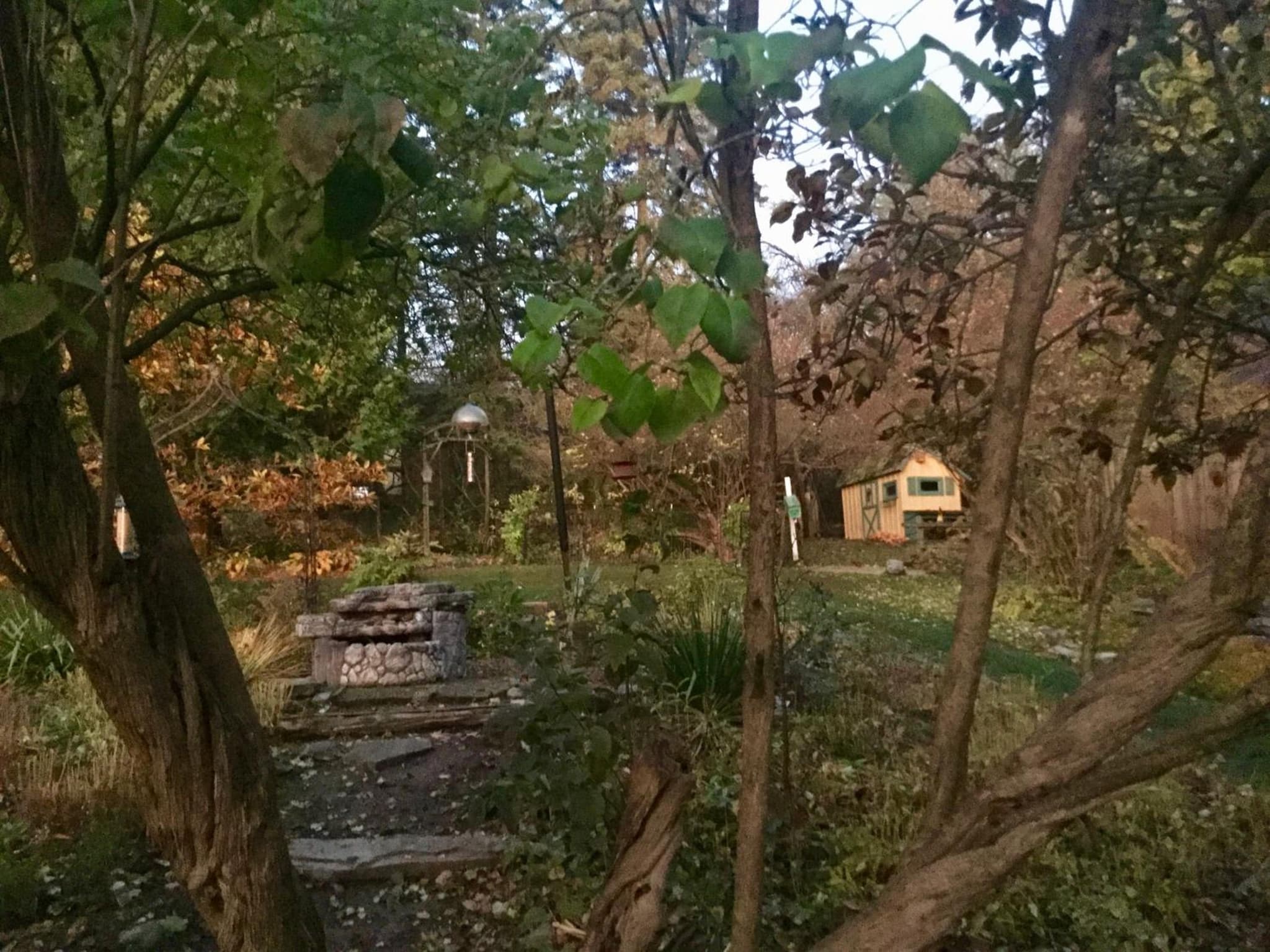 Burley's Executive Garden Suite photo 6