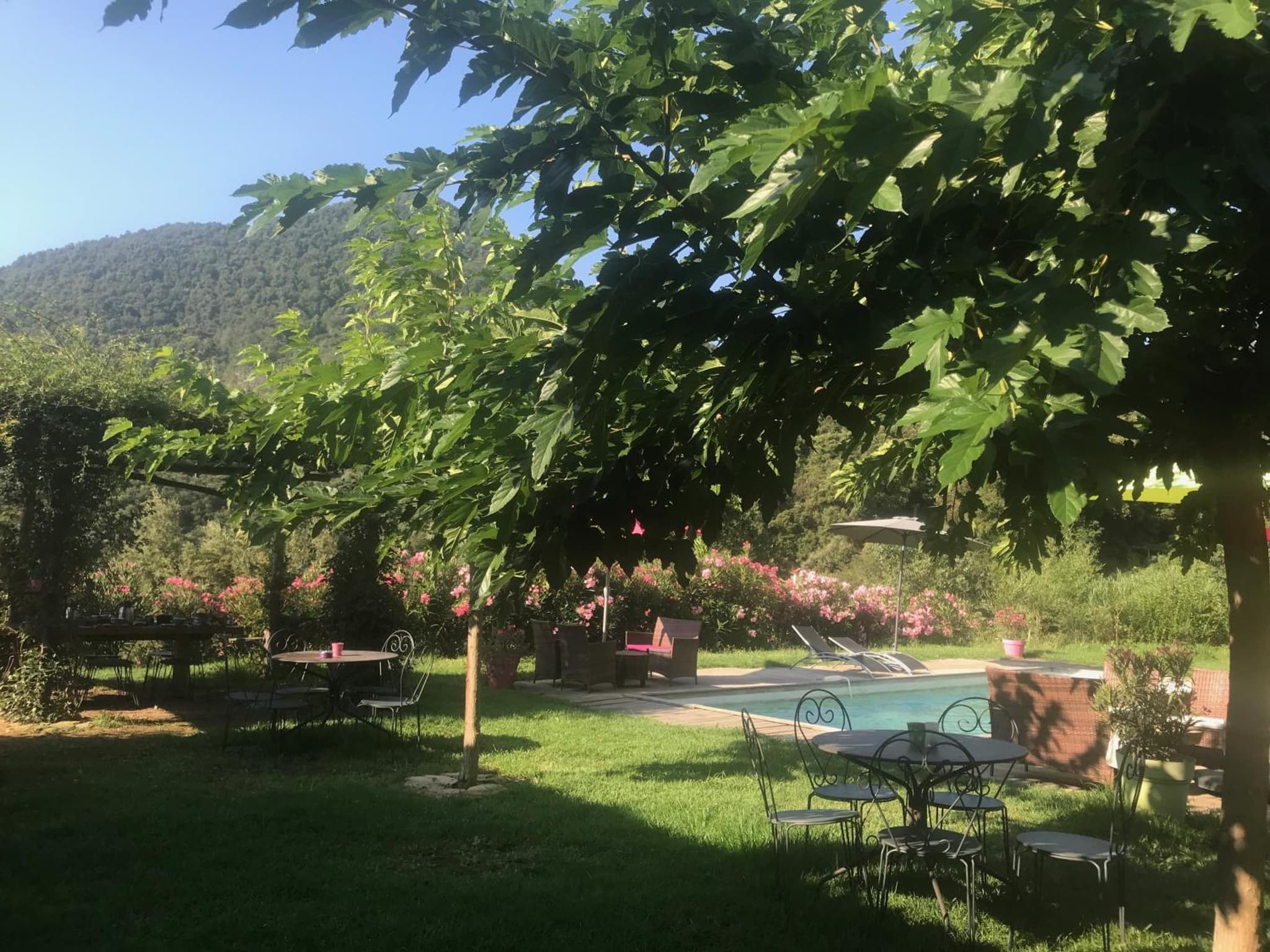Domaine U Bugnu photo 7