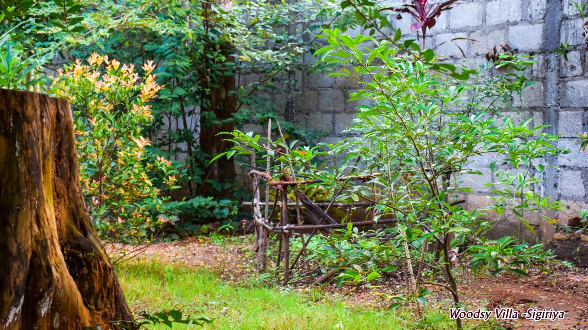 Woodsy Villa photo 3