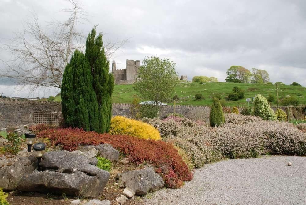 O'Briens Cashel Lodge photo 5