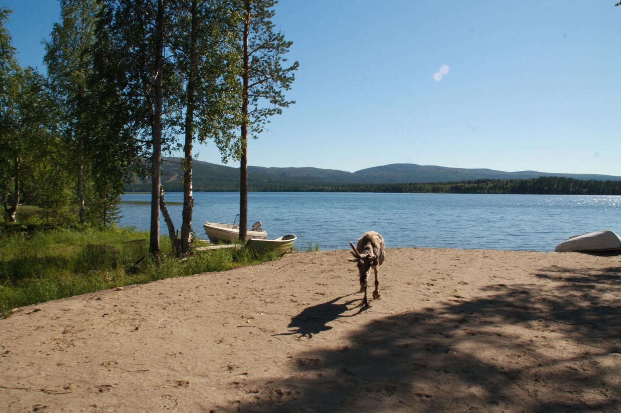 Lucky Lodge photo 2