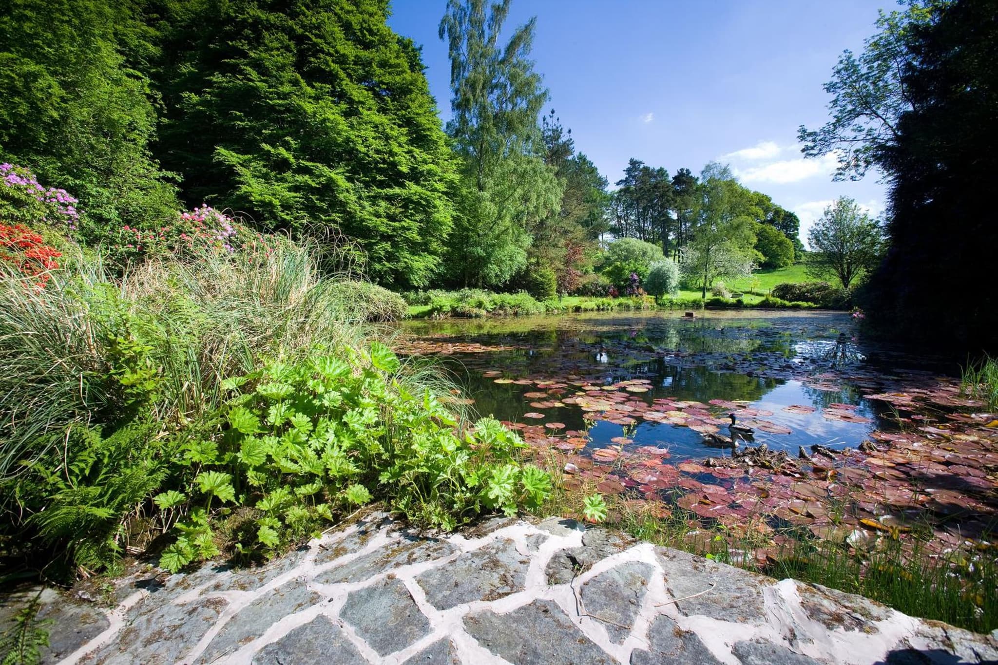 Lindeth Fell Country House photo 4