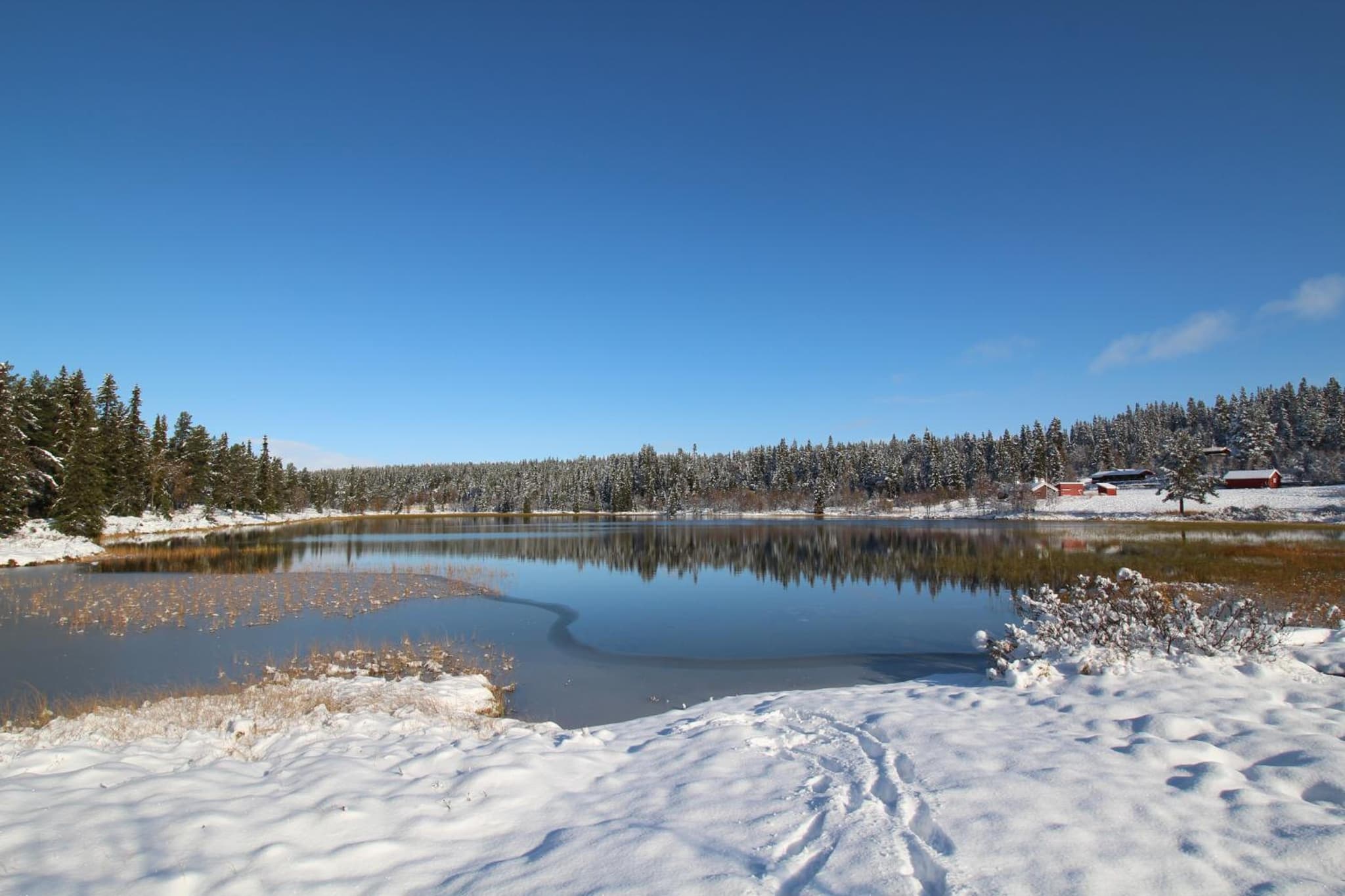 Måsåplassen Friisvegen Mountain Lodge photo 7