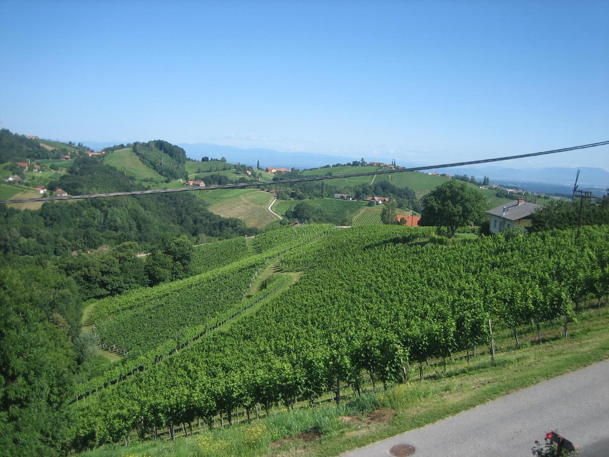Weingut Lambauer photo 7
