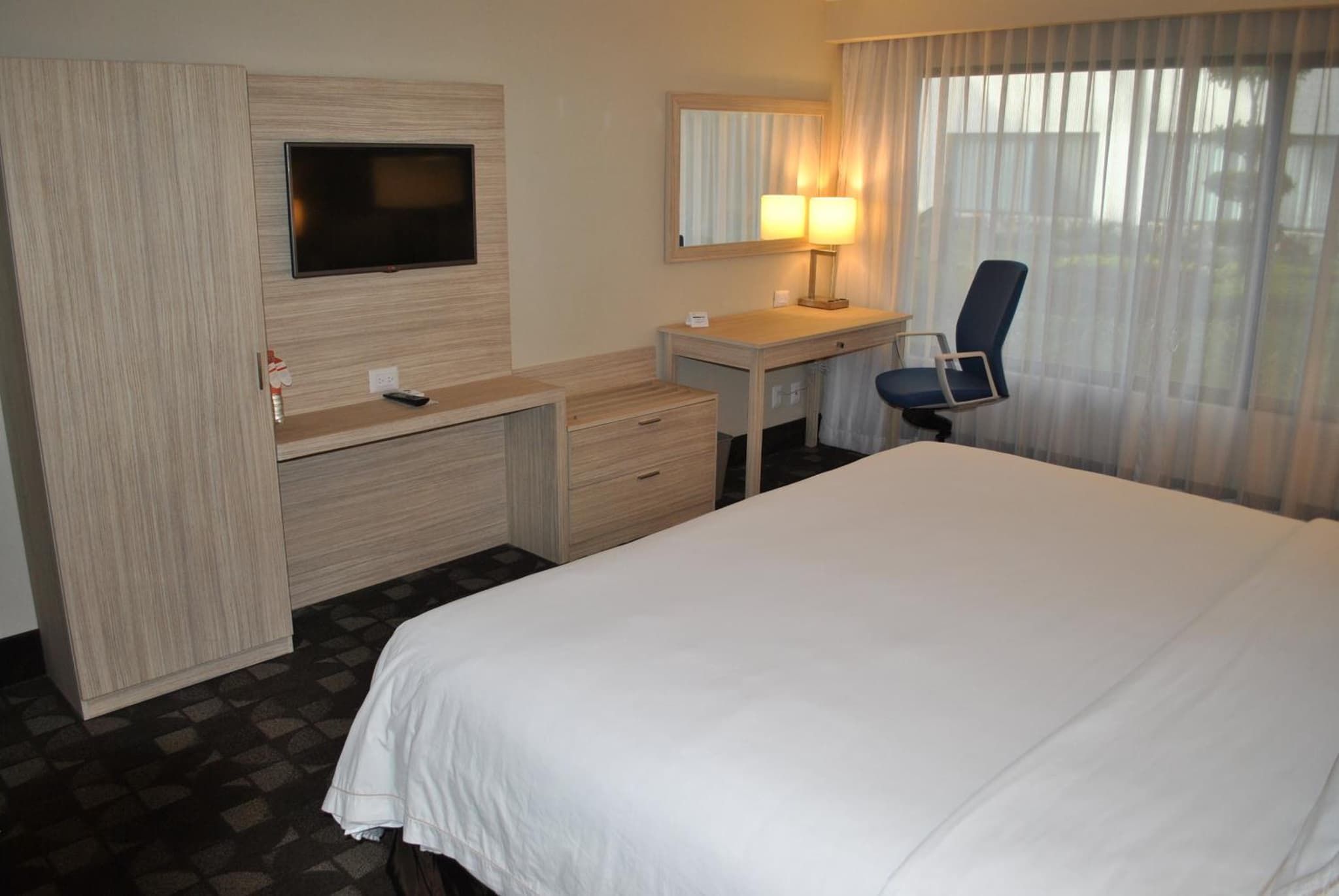 Holiday Inn Express Toluca by IHG photo 6