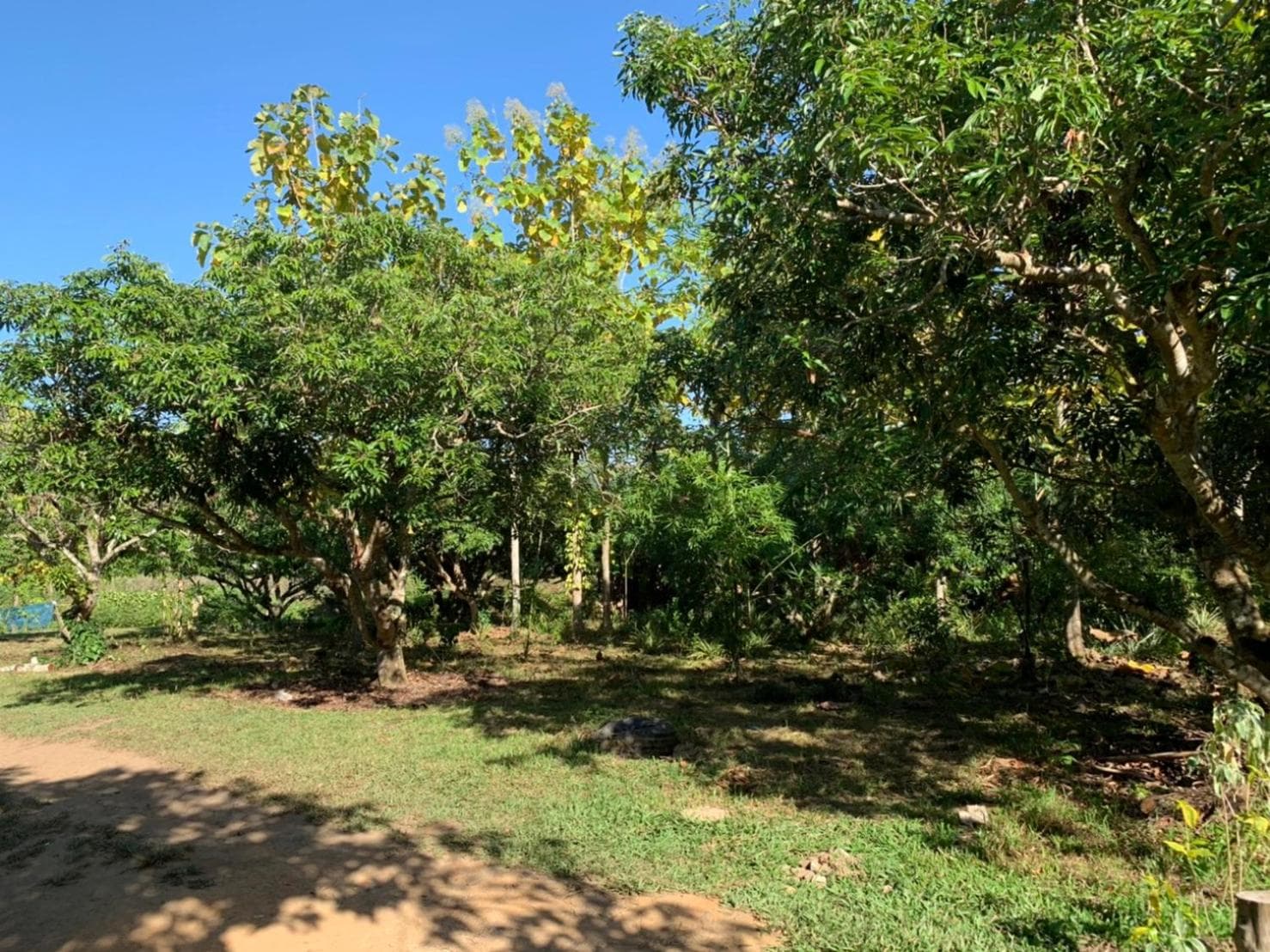 Aum Hum Homestay photo 4