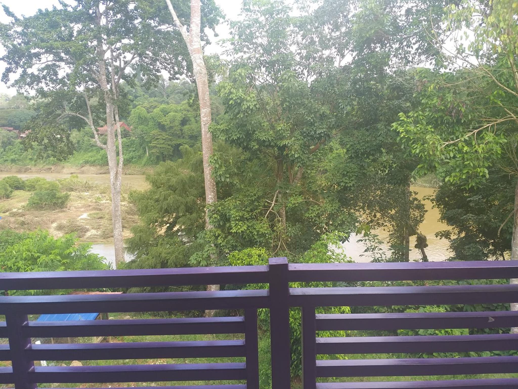 Taman Negara River View Lodge photo 4