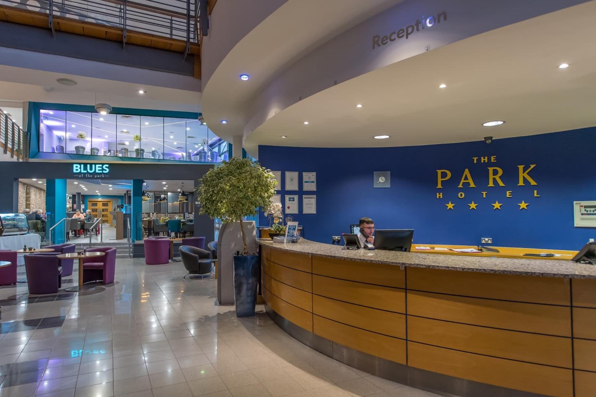 recepcion & lobby