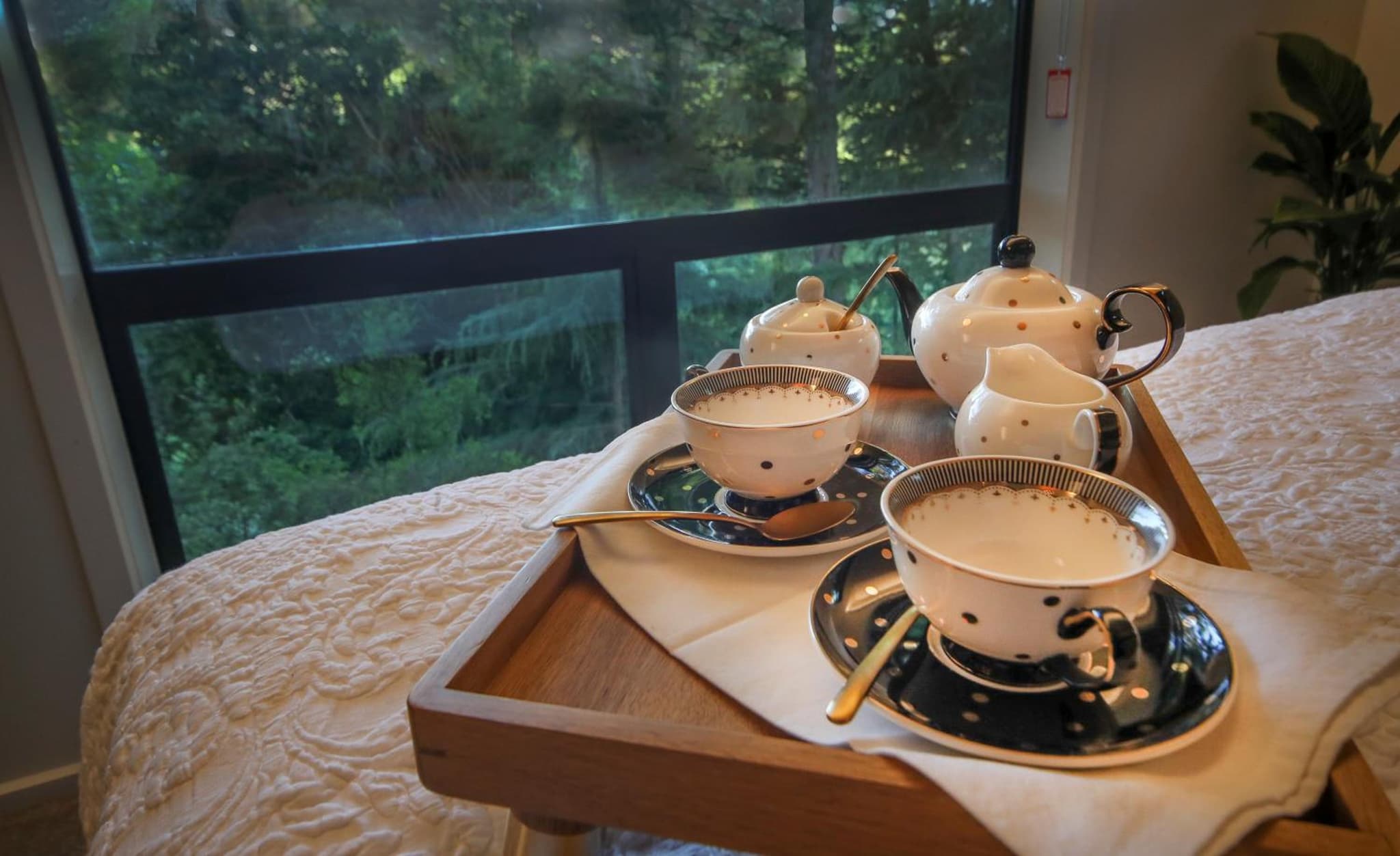L'amour Nest photo 6