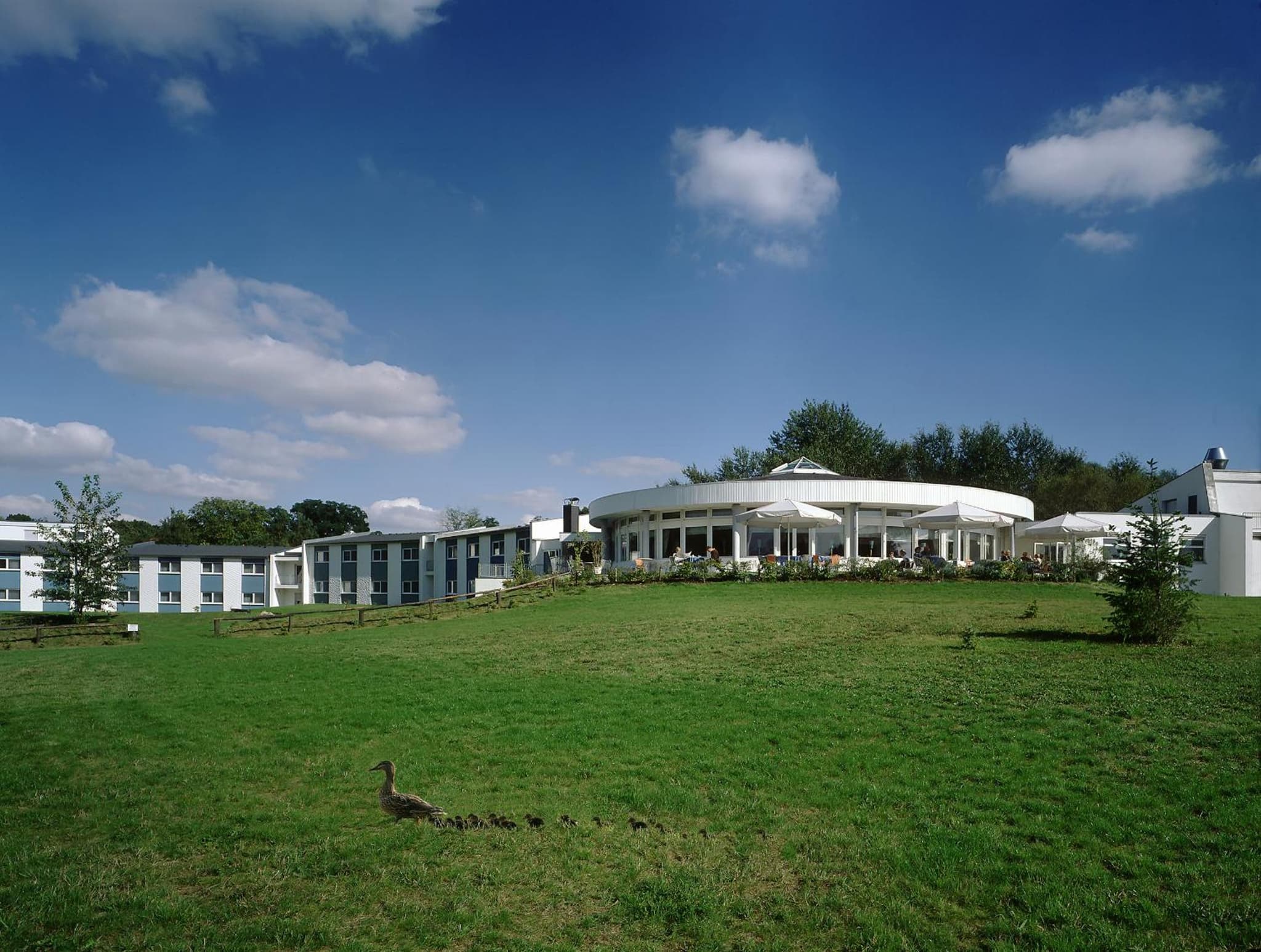 Seehotel Luisenhof photo 5