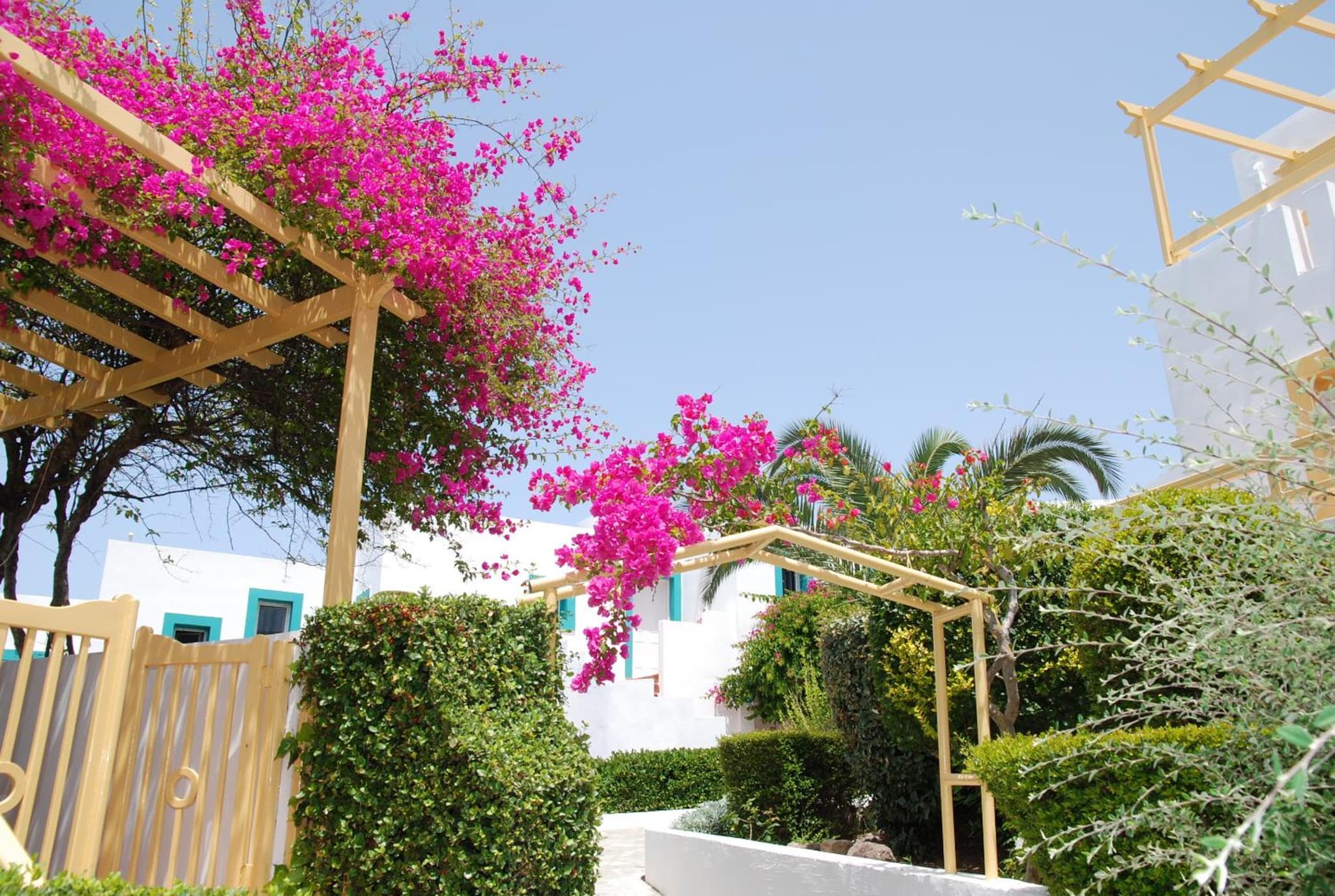 Mastichari Bay Hotel photo 6