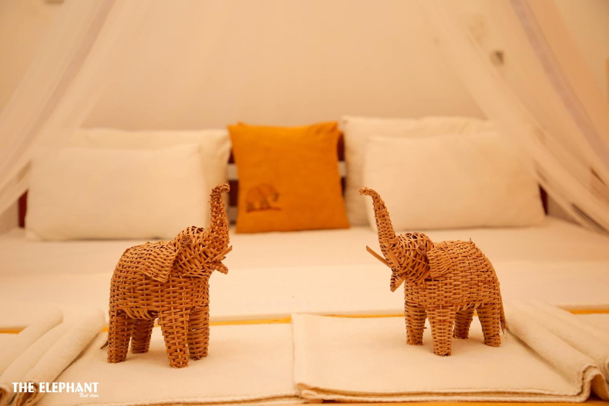 The Elephant Next-Door photo 7