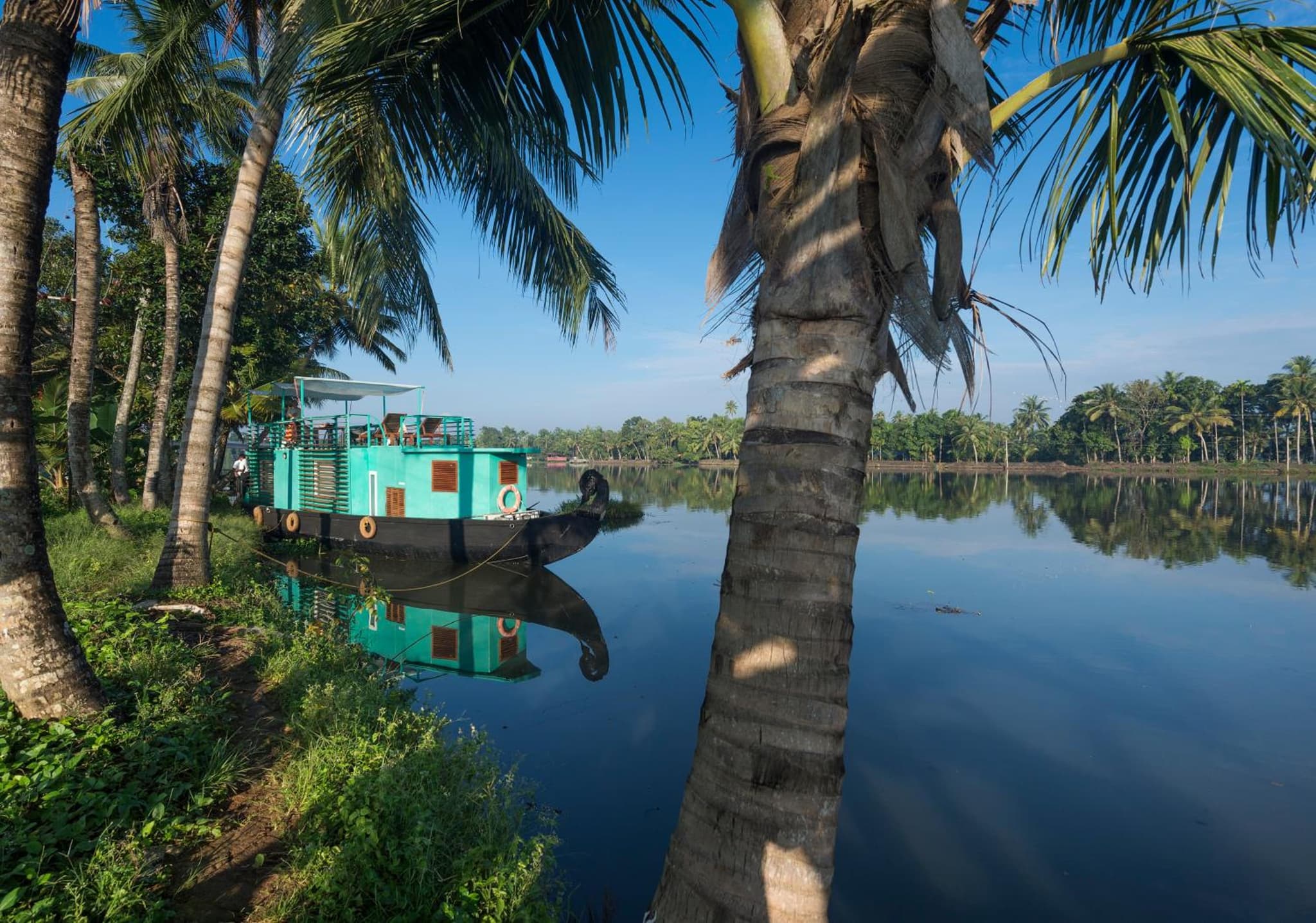 Purity at Lake Vembanad photo 5