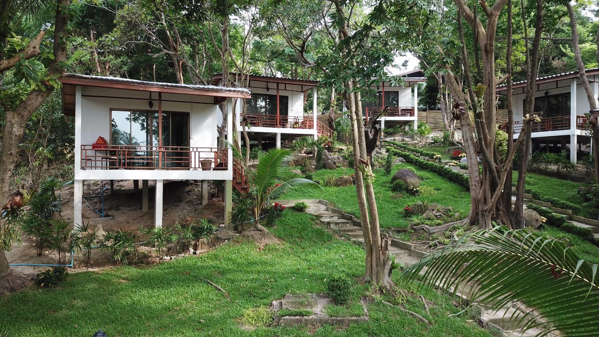 Chareena Garden photo 4
