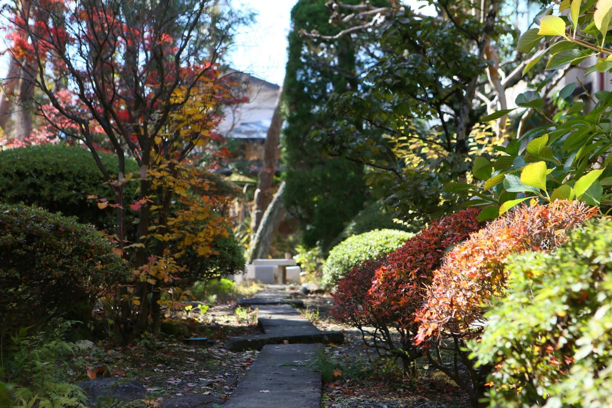 Yudanaka Yumoto photo 8