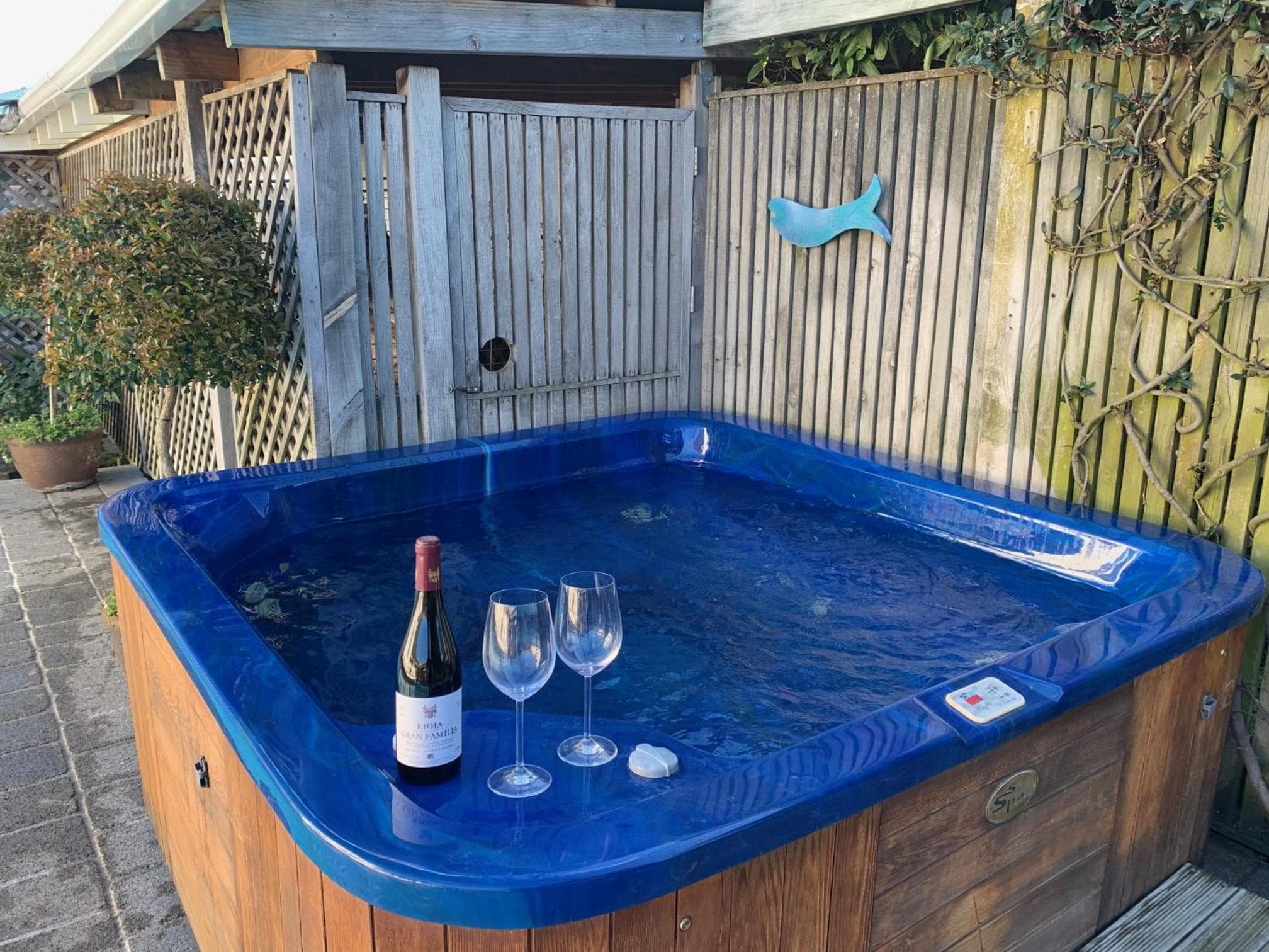 Hawkes Bay Villa-Beechwood photo 8