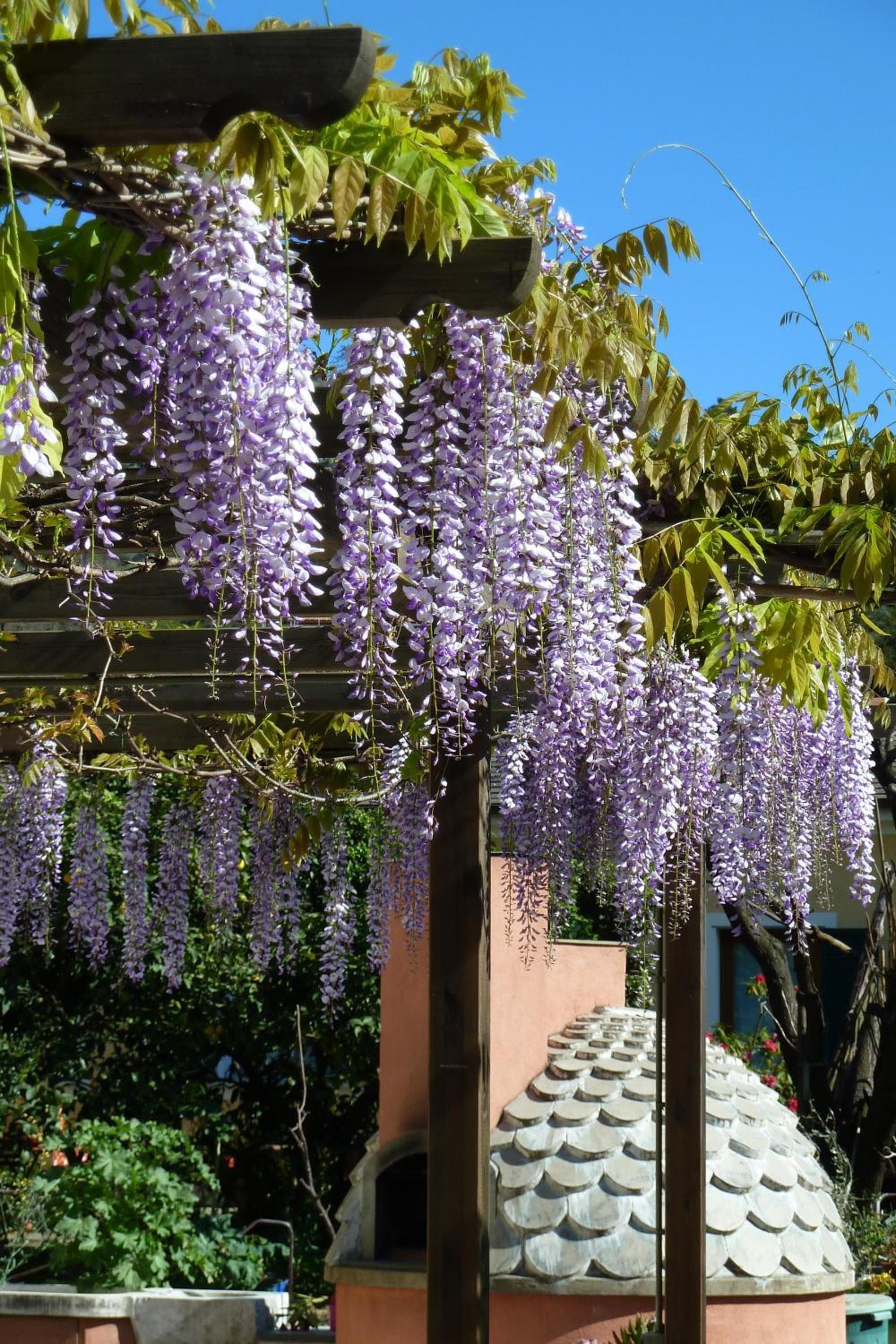 A Durmì photo 7