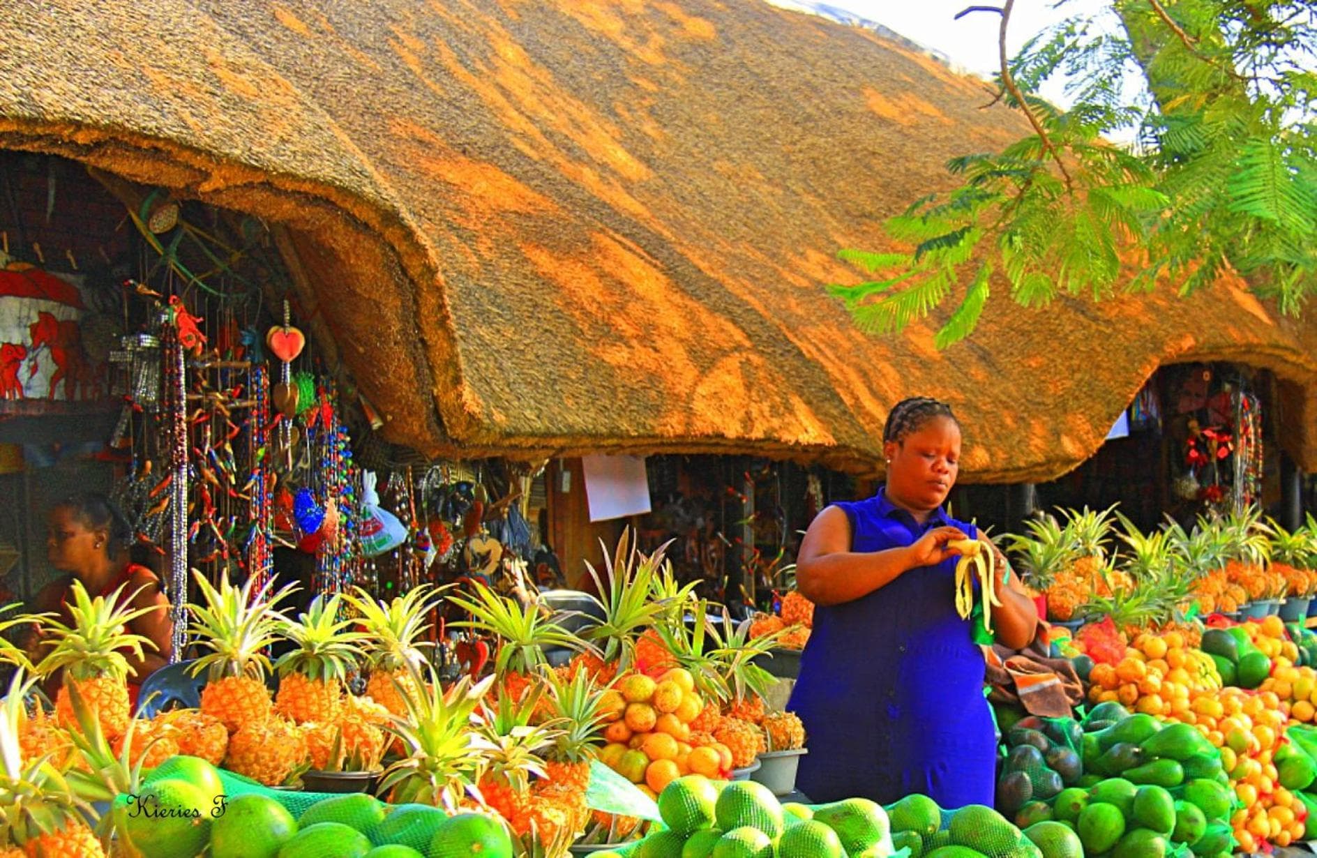 Lodge Afrique photo 6