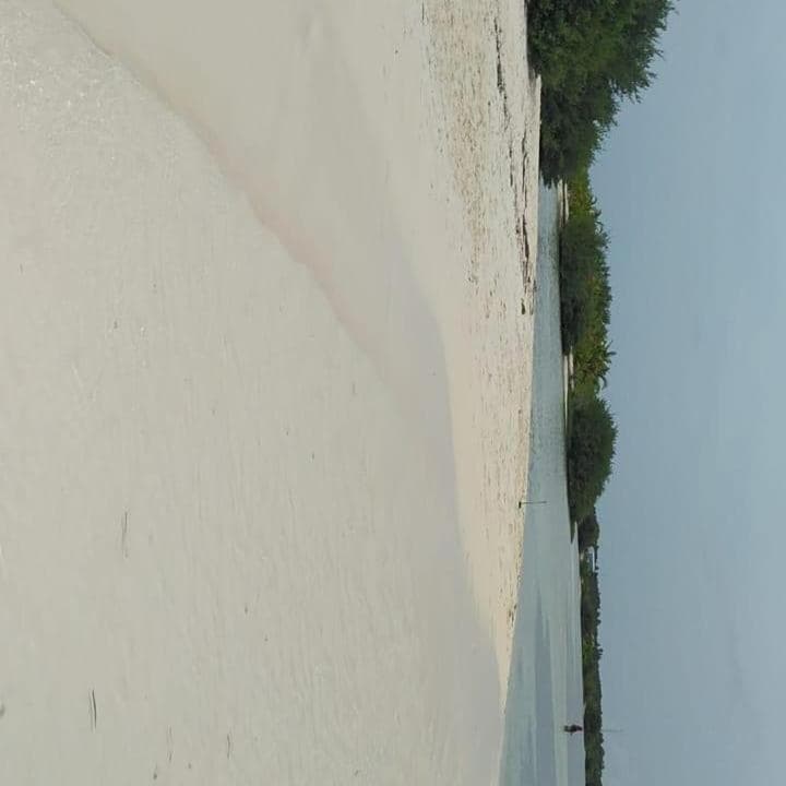 Bahari Lodge, K.Kaashidhoo photo 4