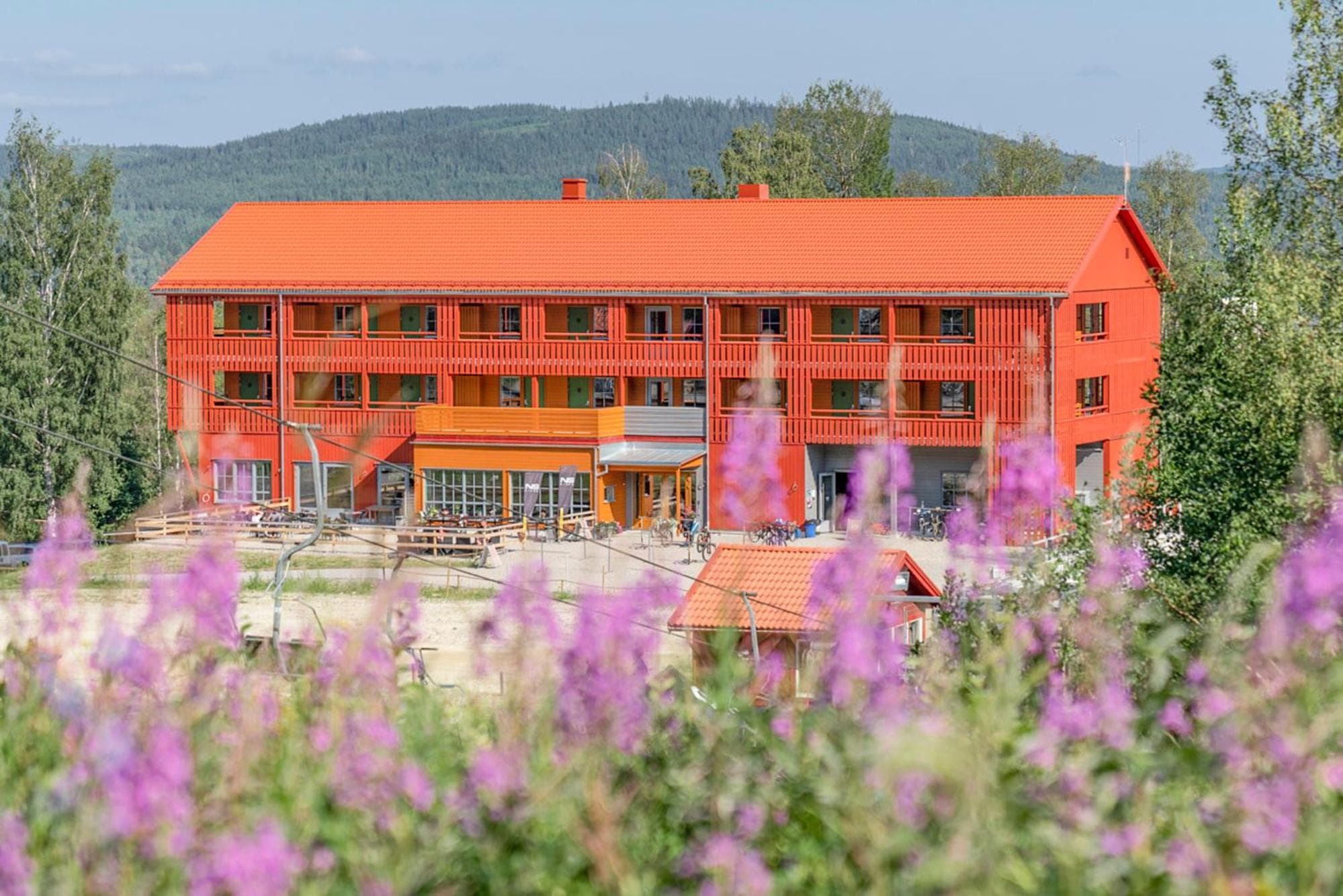 building