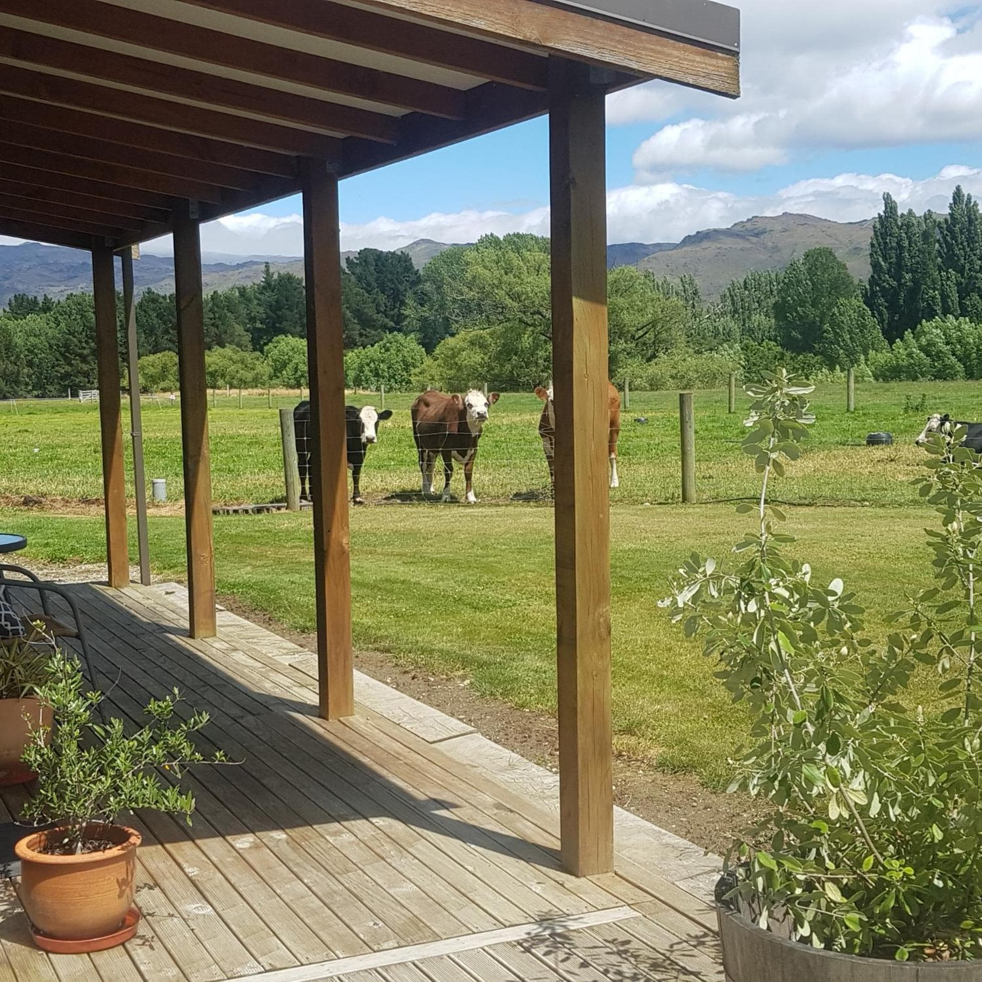 Dunstan Road B&B photo 4