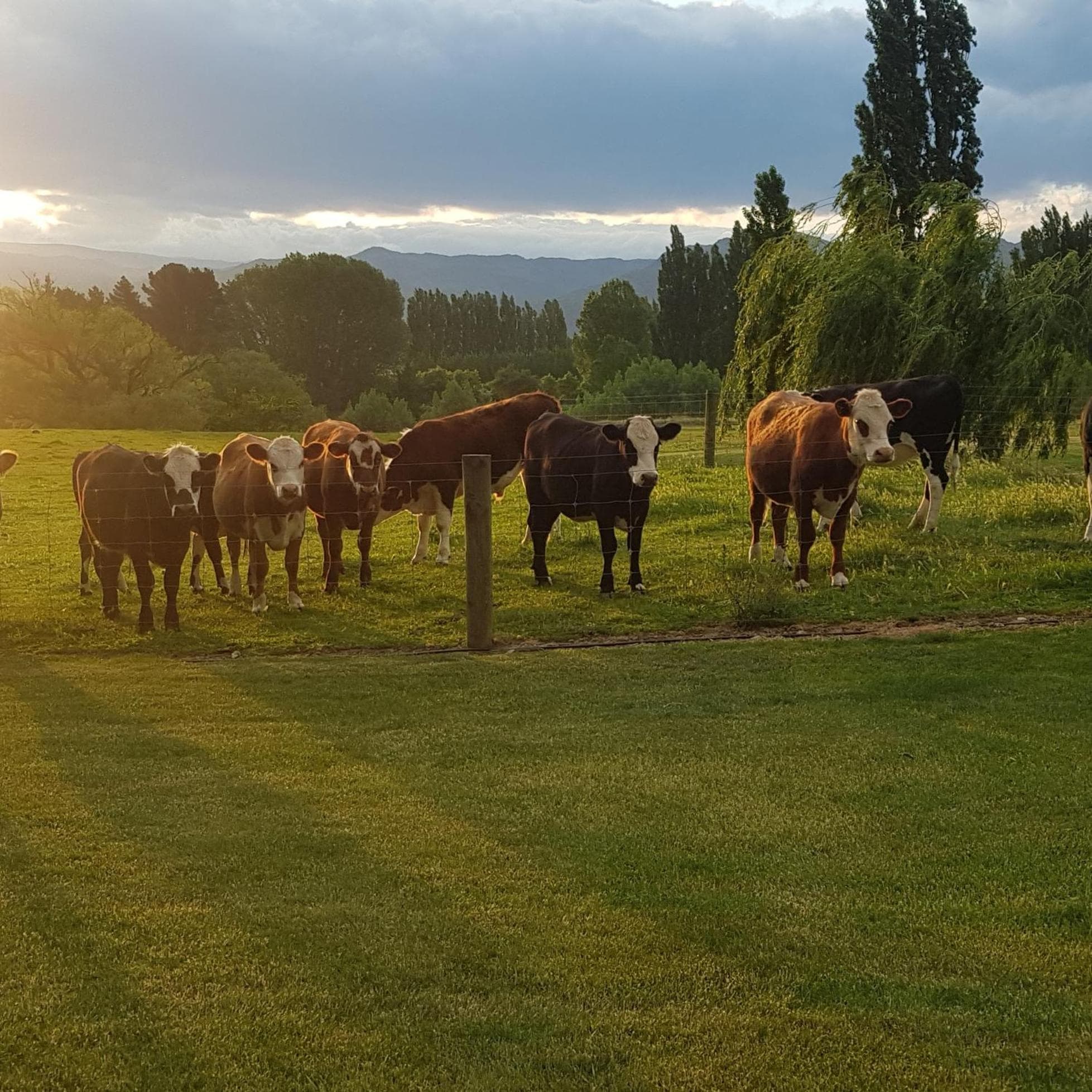 Dunstan Road B&B photo 8