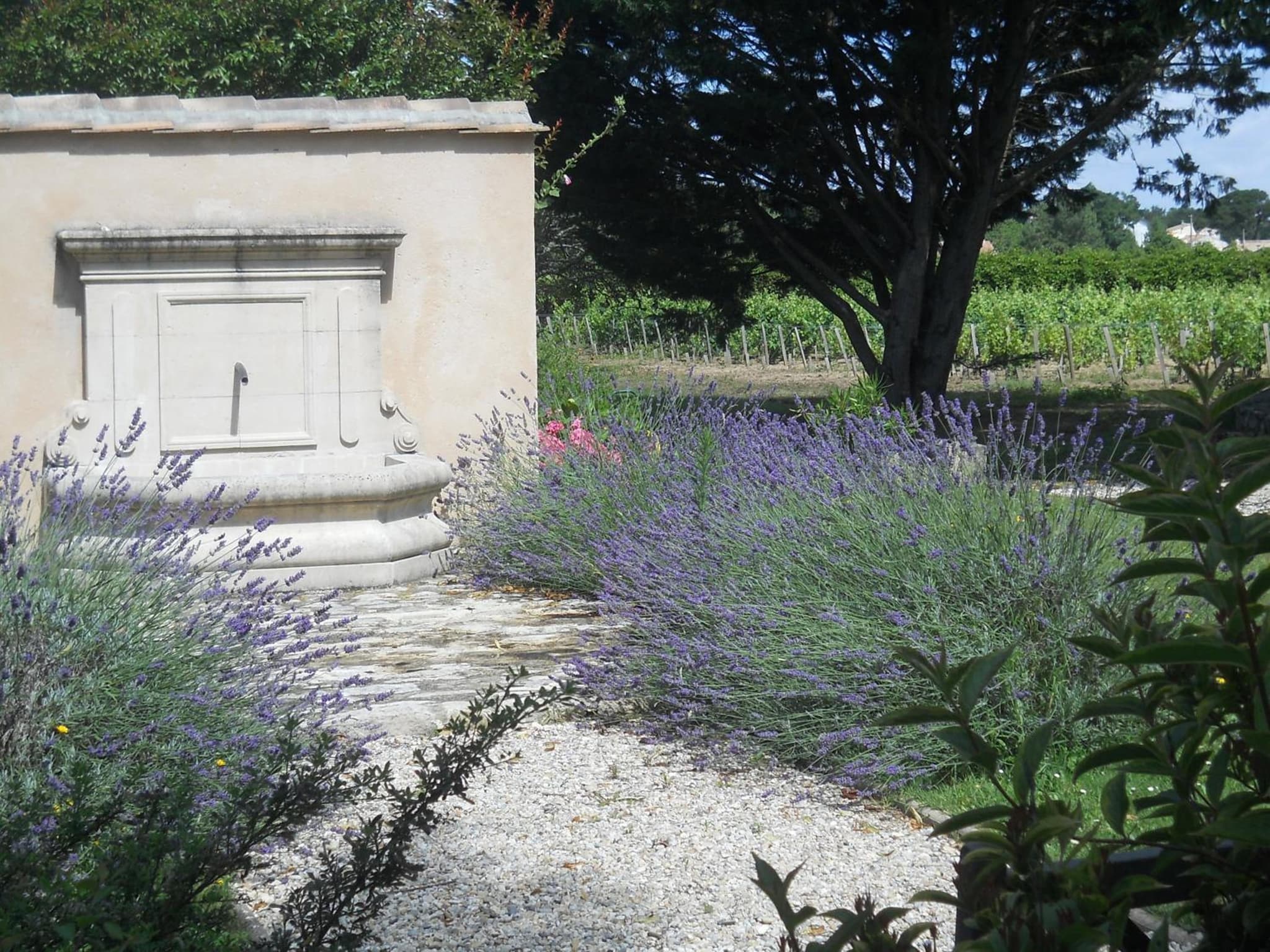 Château La Gravière photo 5