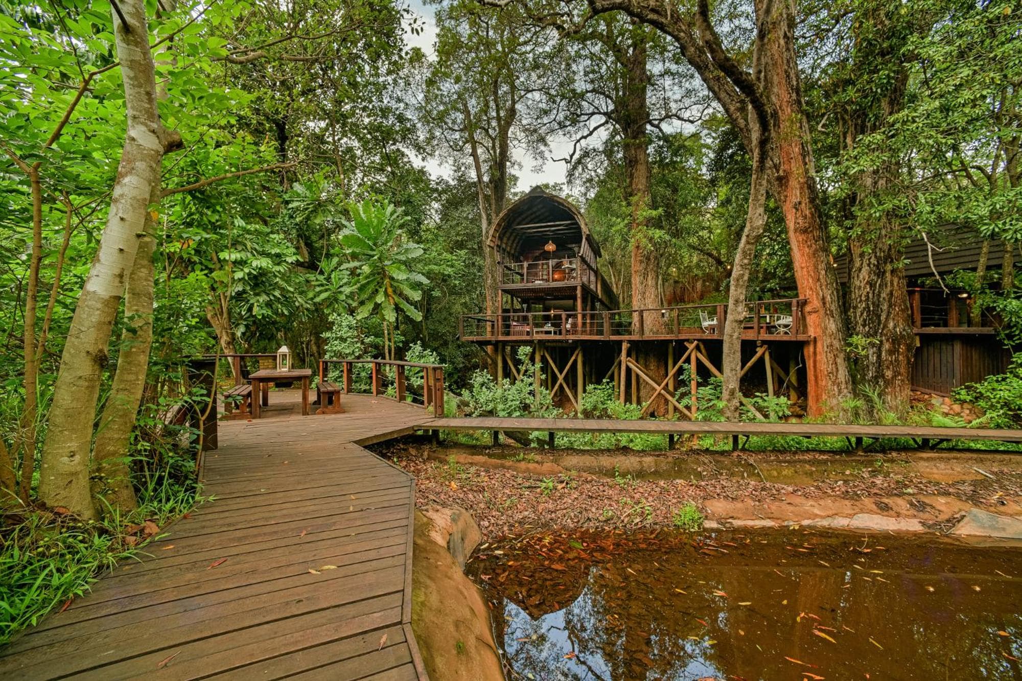 Serenity Mountain and Forest Lodge photo 3