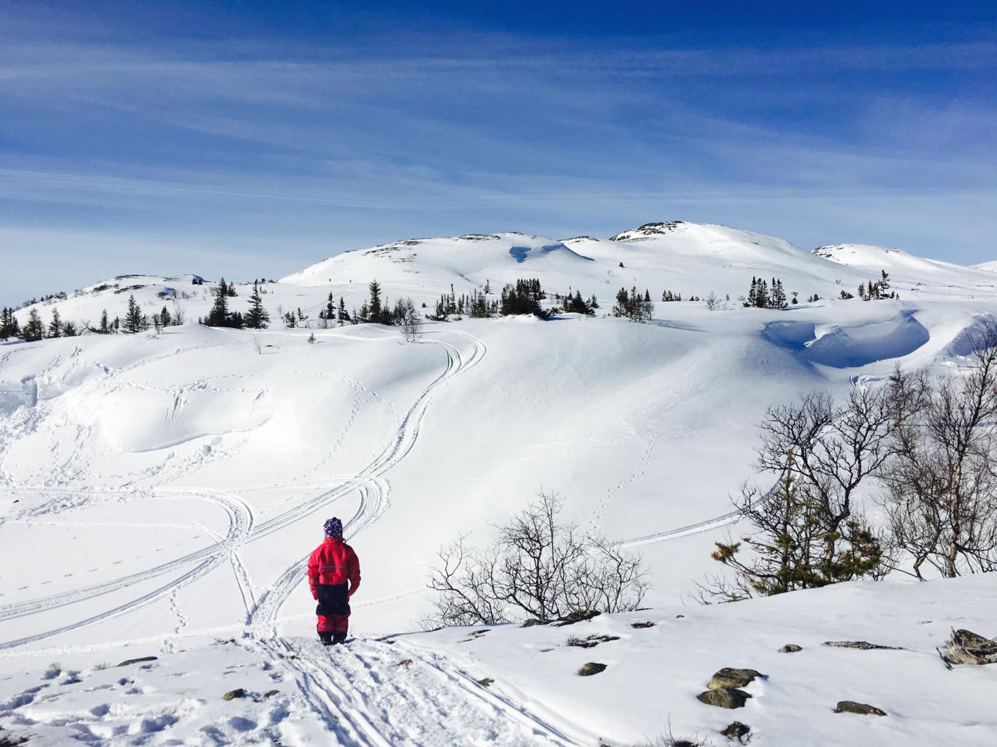 Vålågårdens Värdshus och Camping AB photo 6