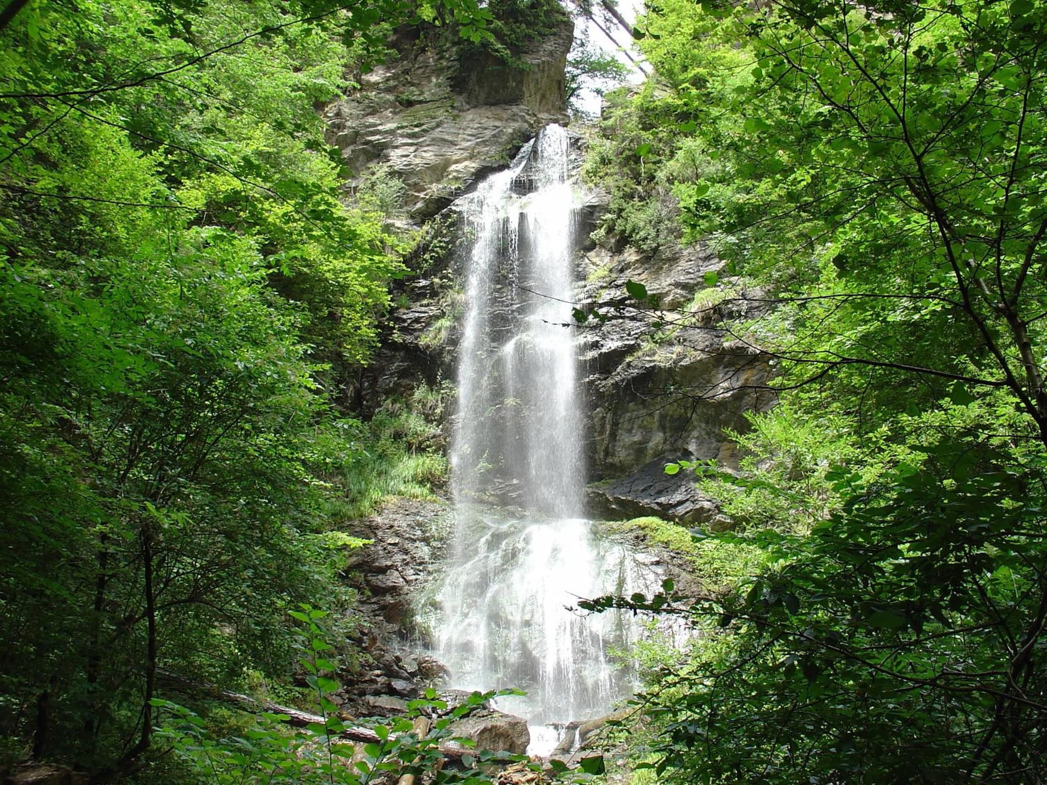 Schützenhof photo 3