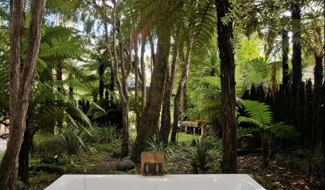 Olive Rabbit - Boutique Bed & Breakfast photo 2