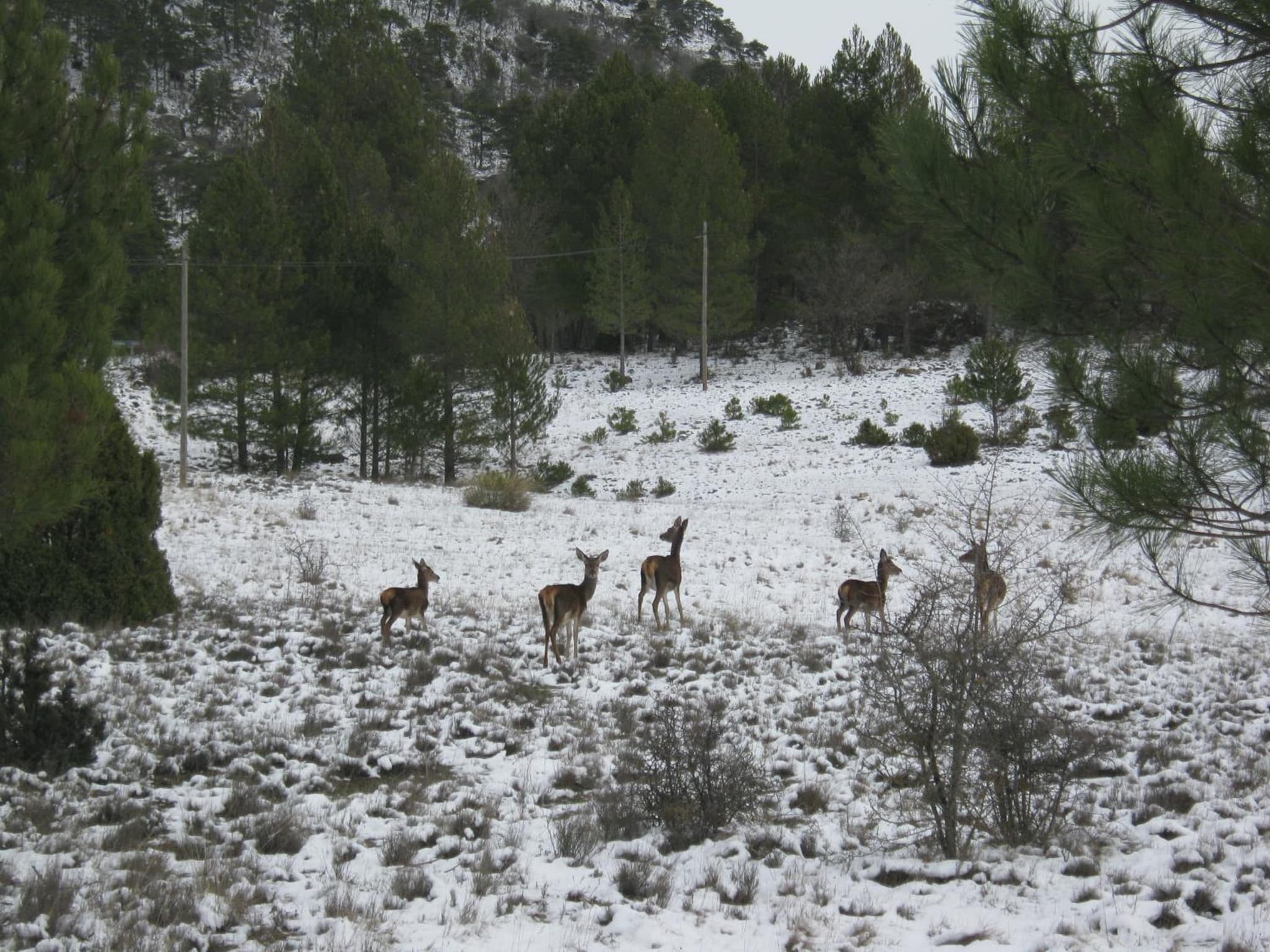 Aire Turismo Rural photo 6