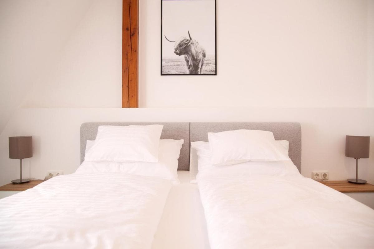 Haus56 photo 7