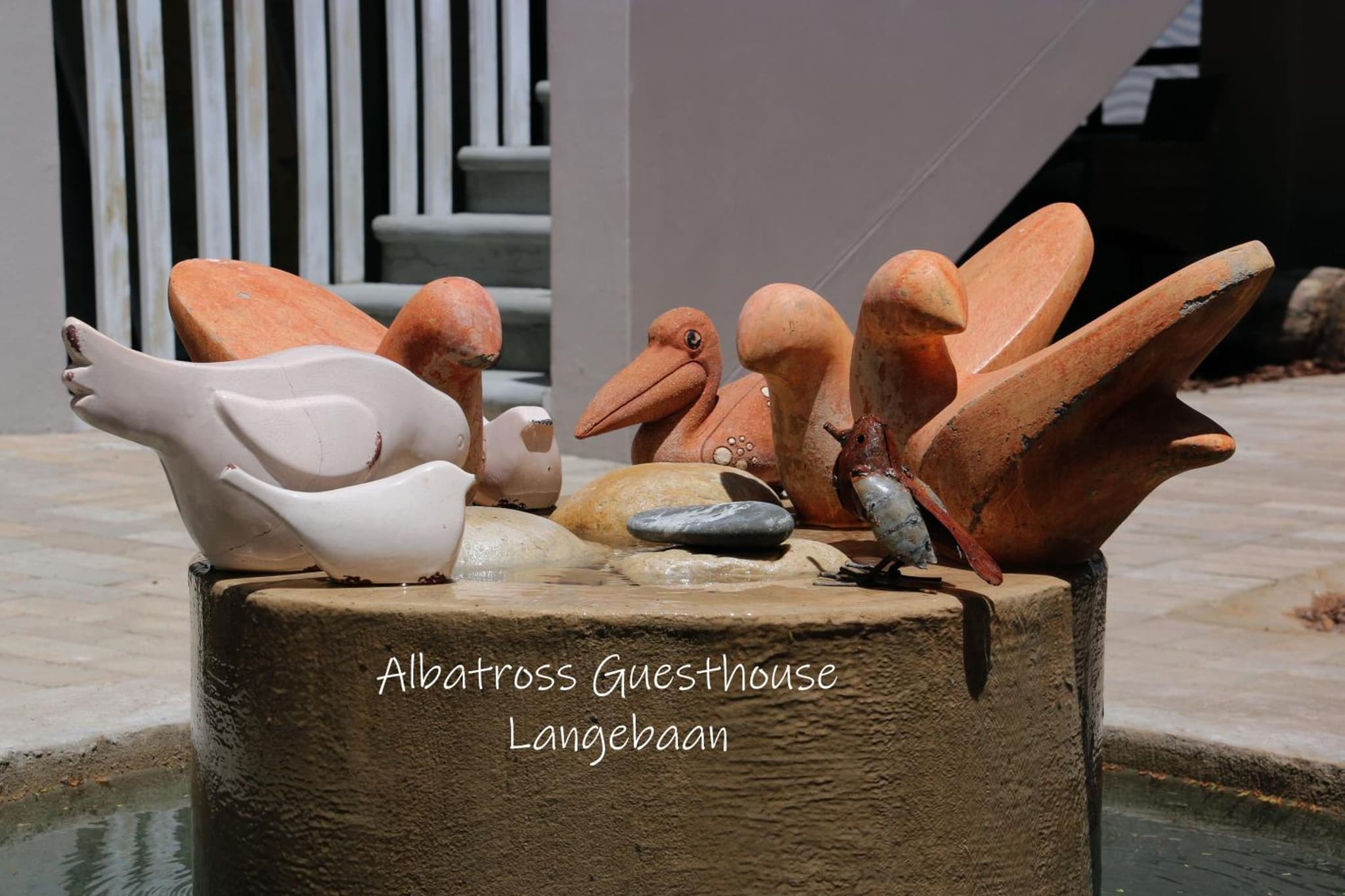 Albatross Guesthouse photo 8