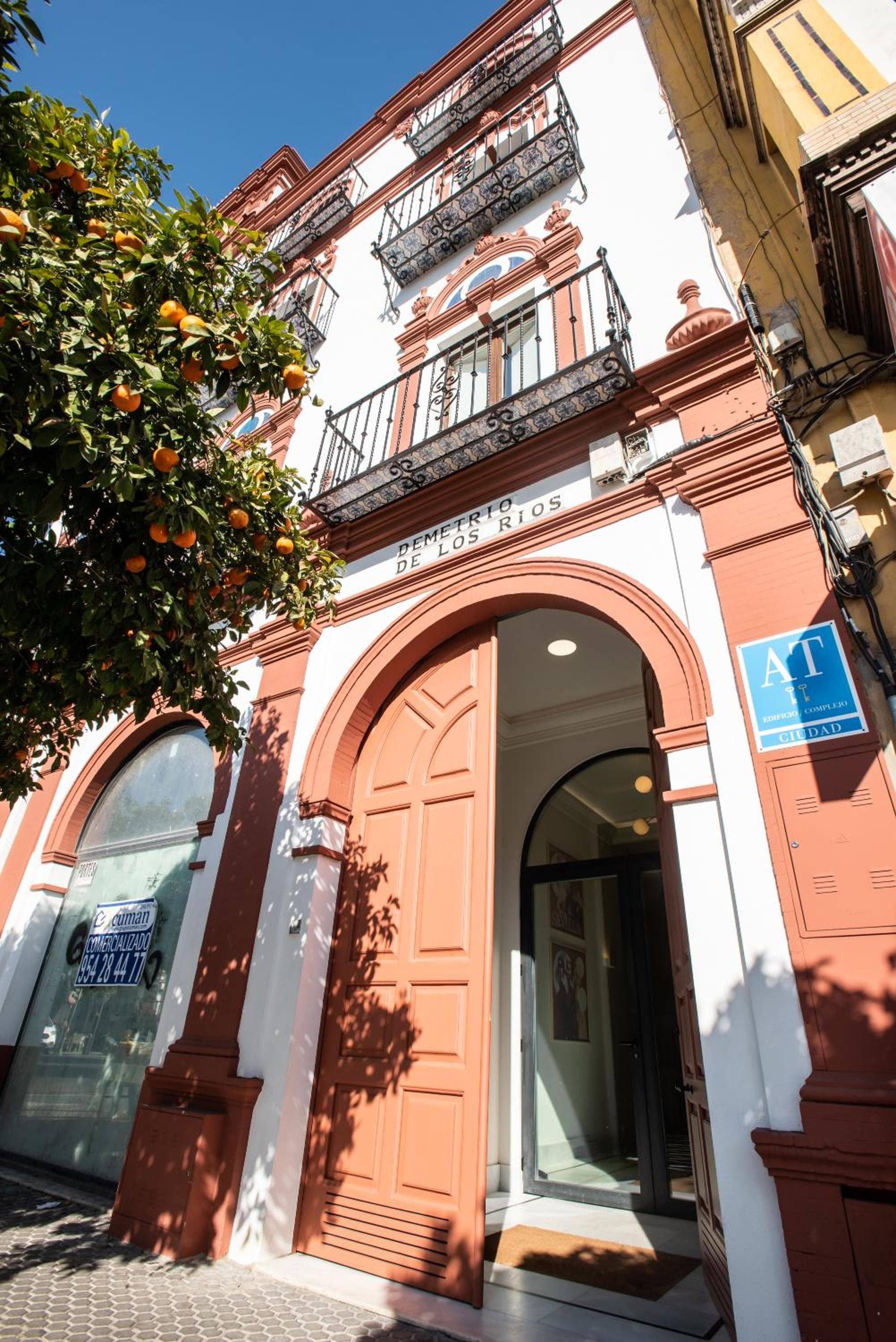 nüa torreón photo 4