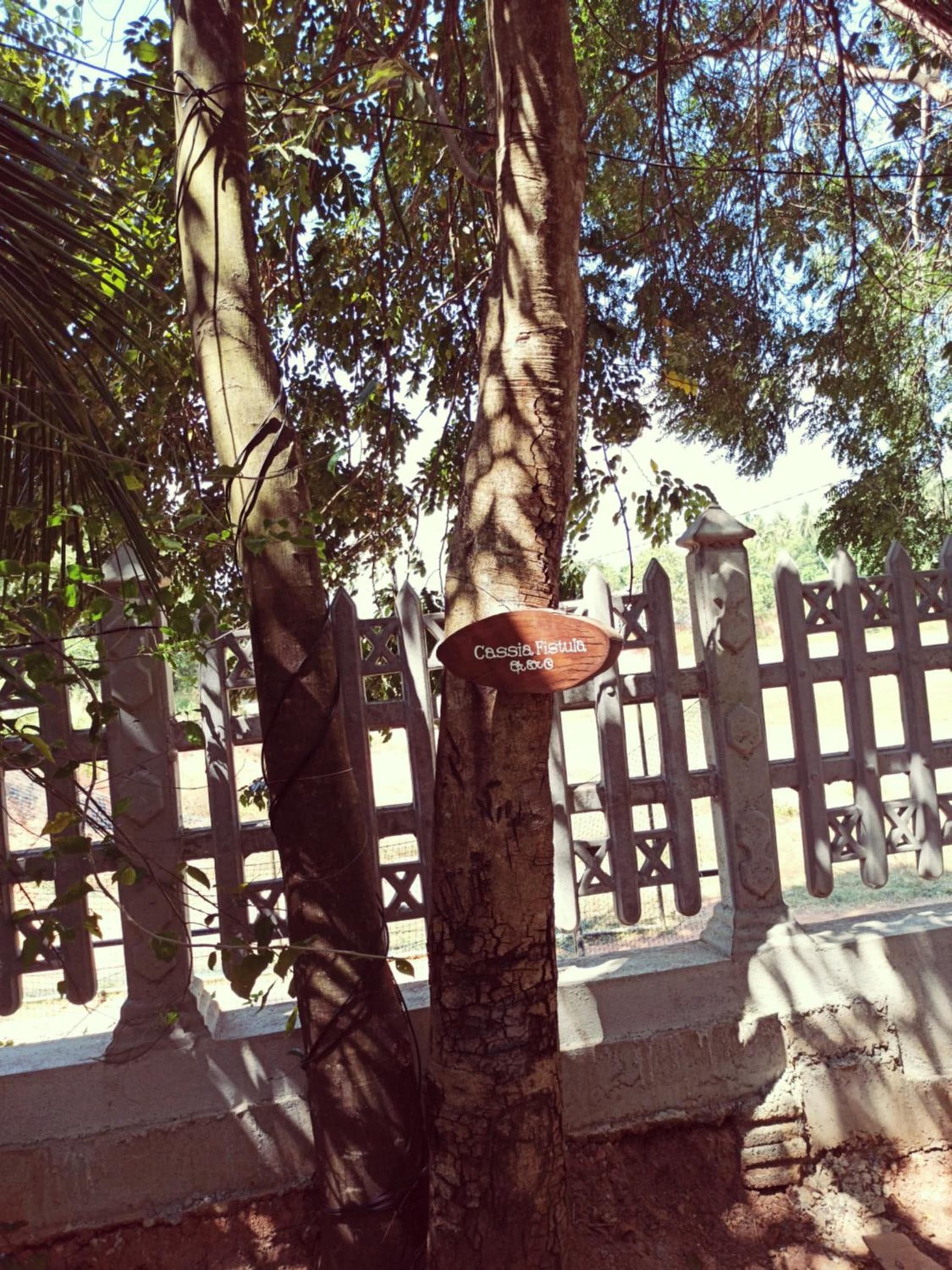 Eco Garden Hiriketiya photo 7