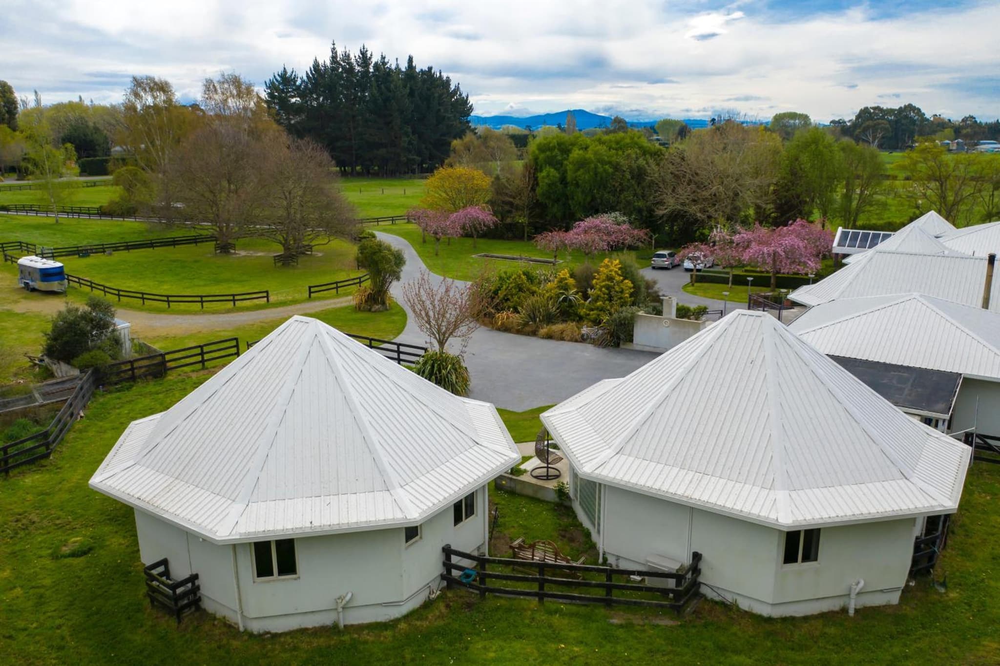Silverstream Alpaca Farmstay & Tour photo 6