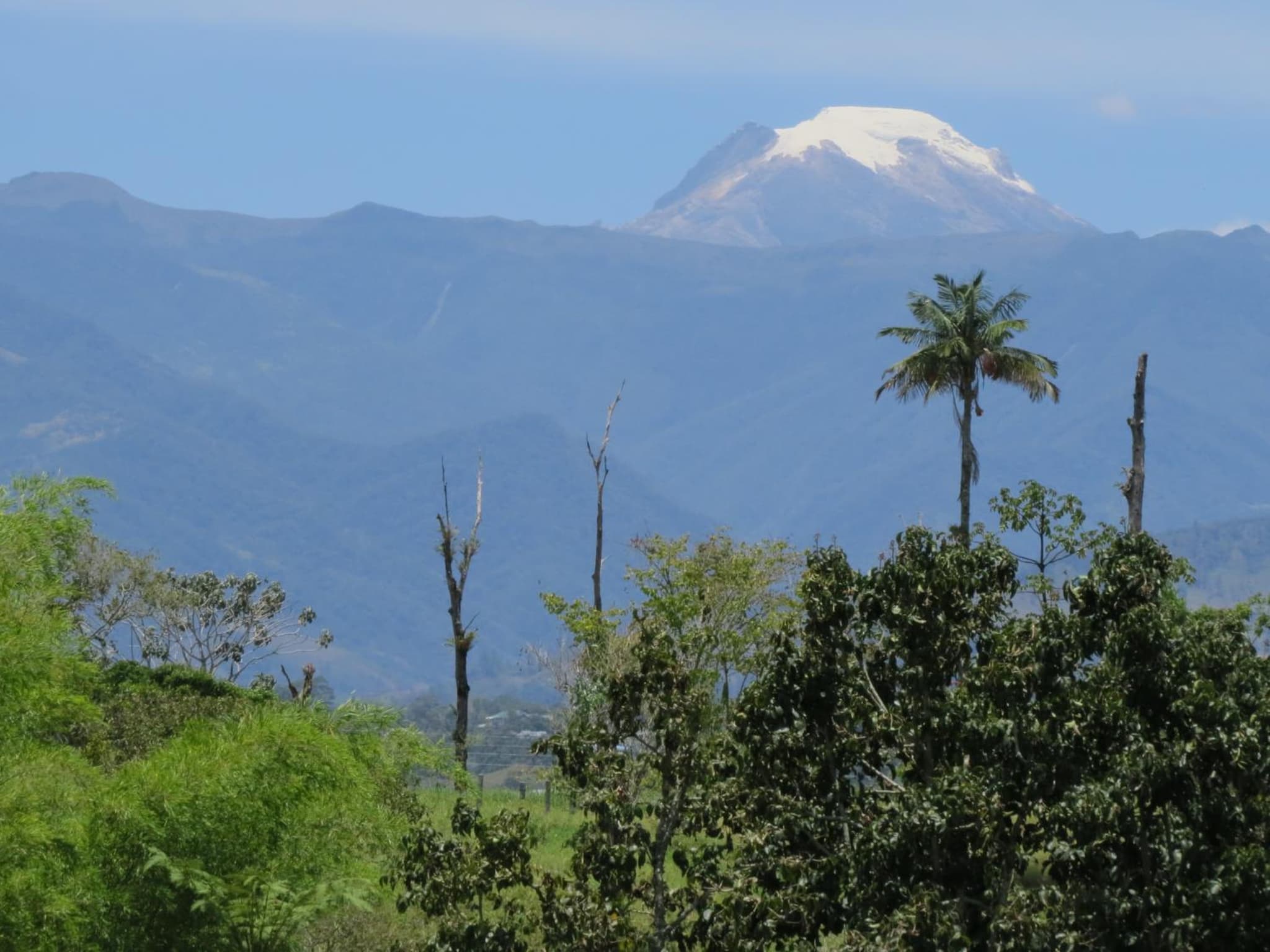 Finca El Topacio Circasia-Quindio photo 4