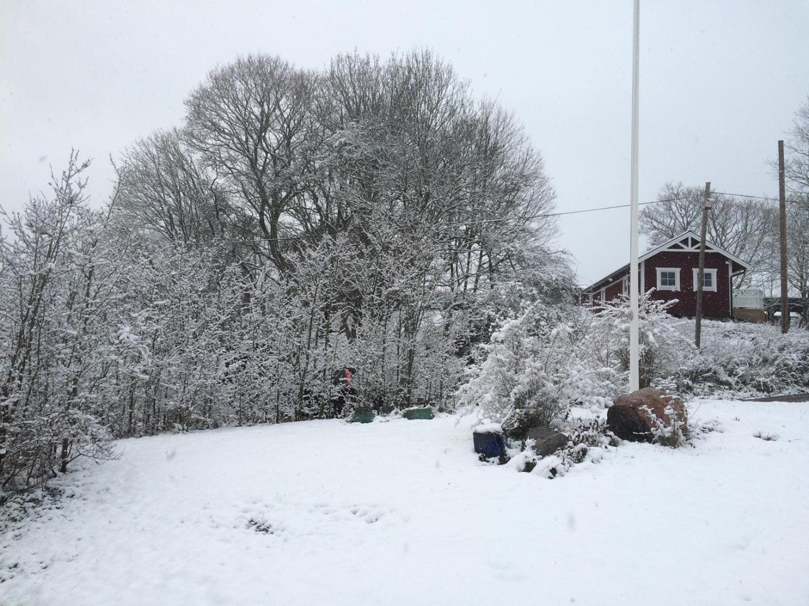 Bränntorps Gård photo 6