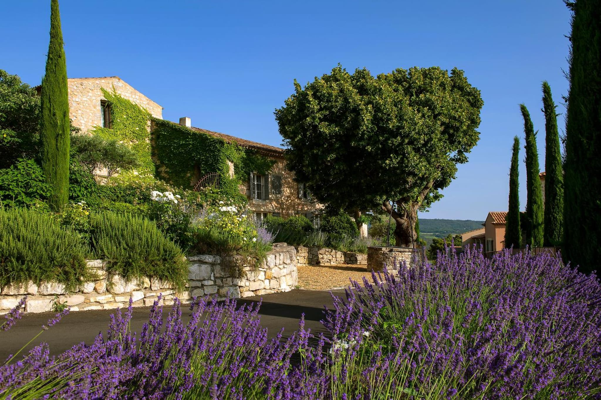 Coquillade Provence - Relais & Châteaux photo 4