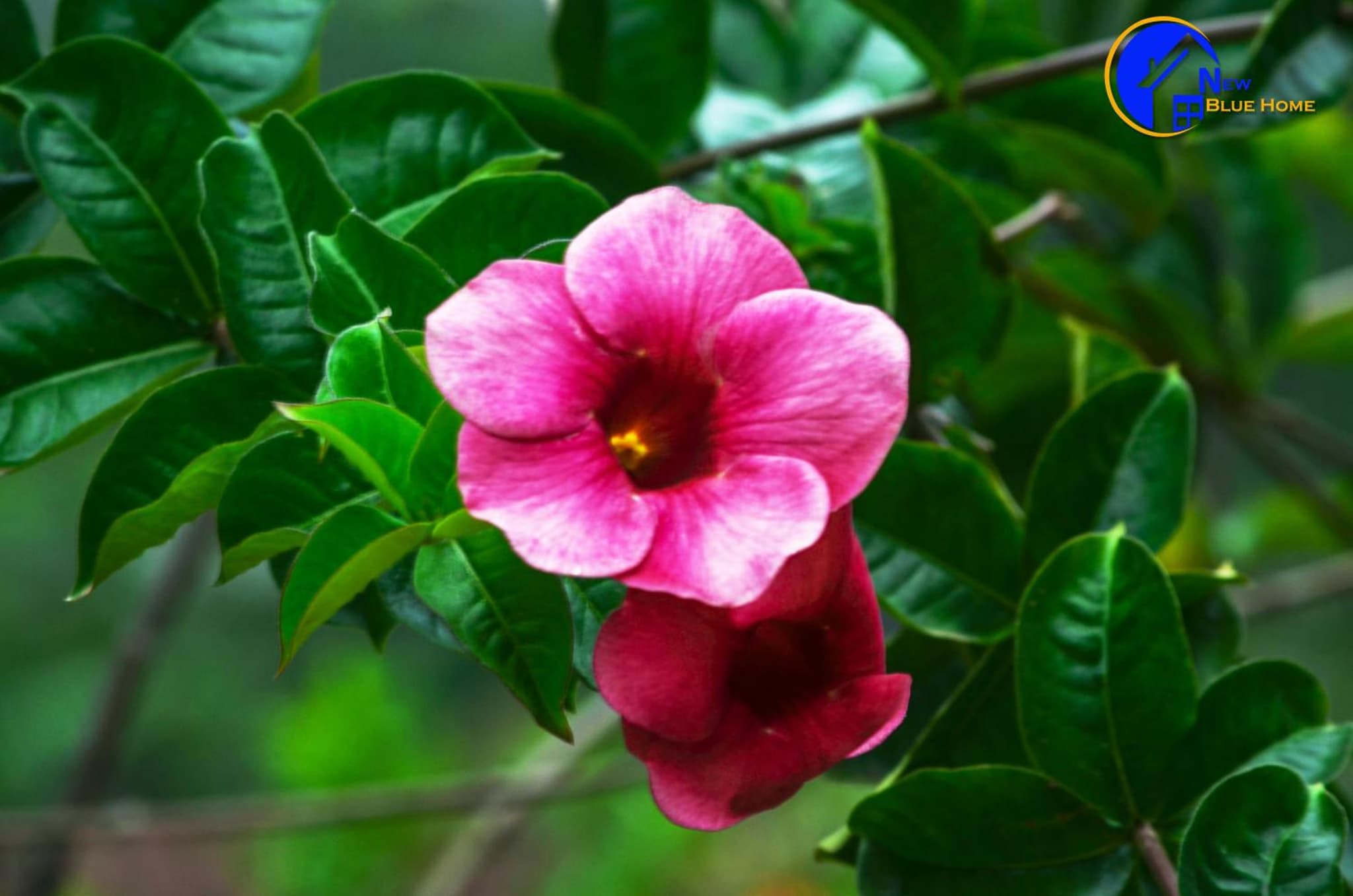 Seven Minutes Ella by SANS photo 2
