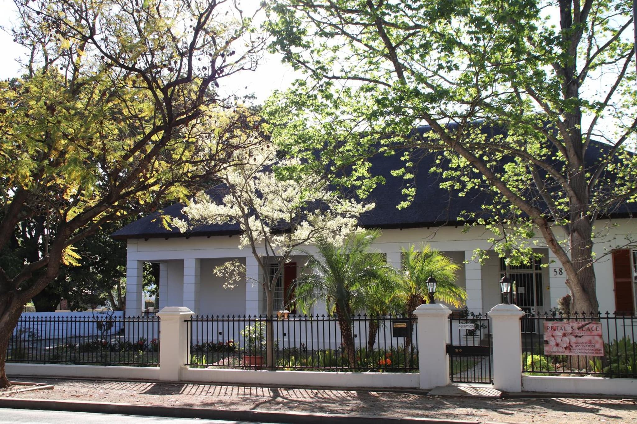 Petal's Place photo 7